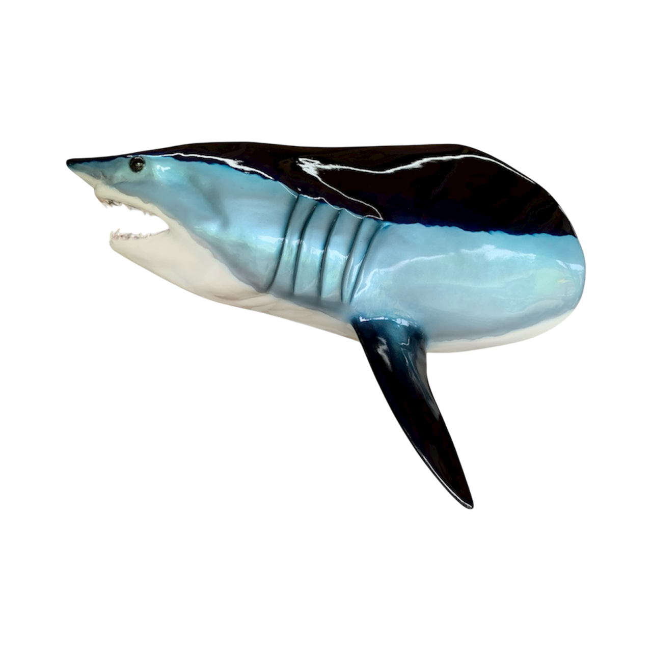 MAKO HEAD MOUNT 29.PNG
