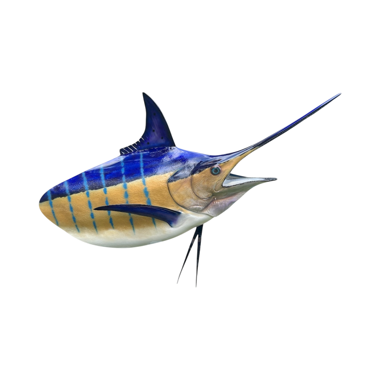 BLUE MARLIN HEAD MOUNT 2.PNG