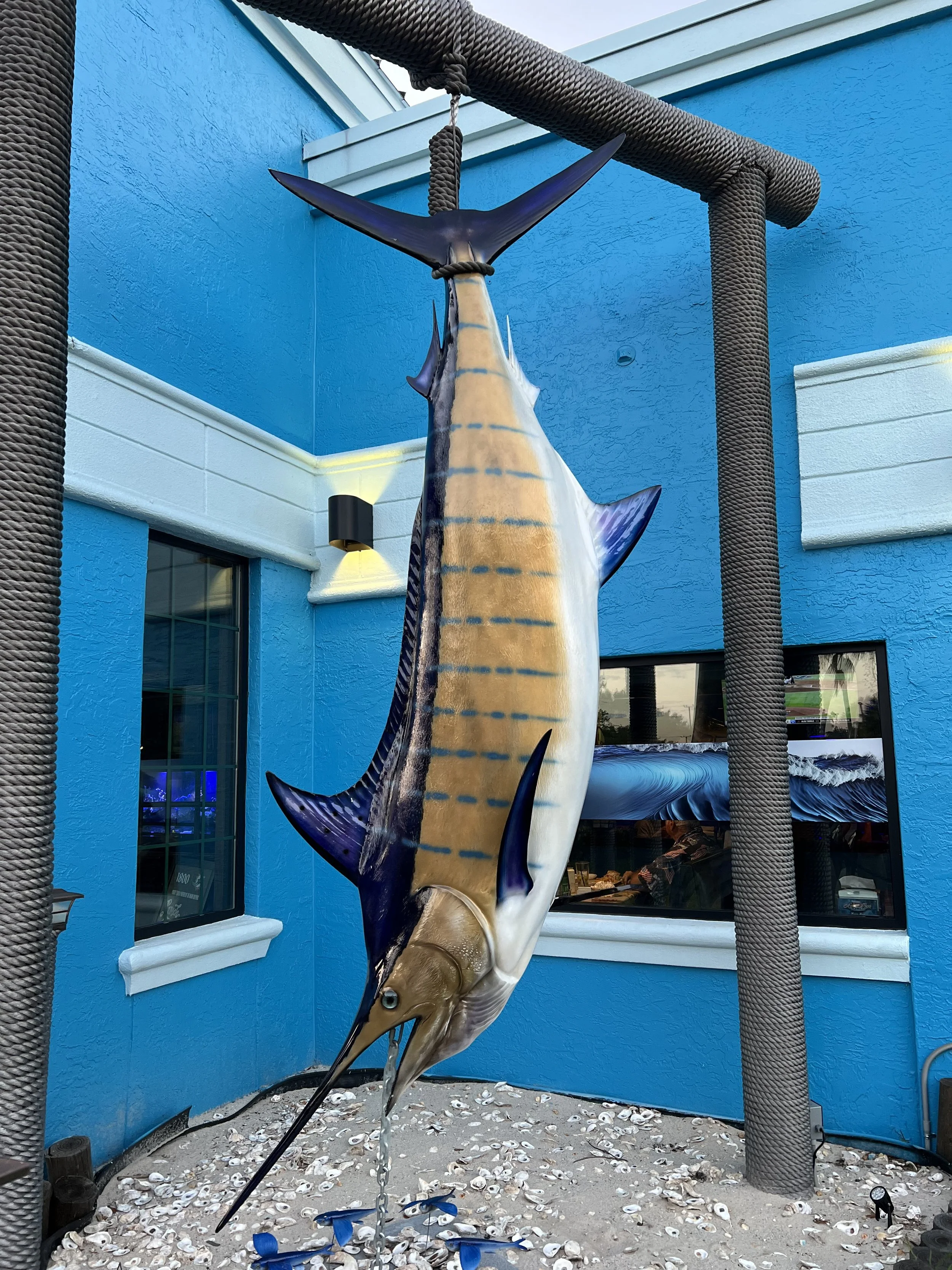 Large marlin fish sculpture mounted on a pole outside a bright blue building with a window, surrounded by seashells on the ground.