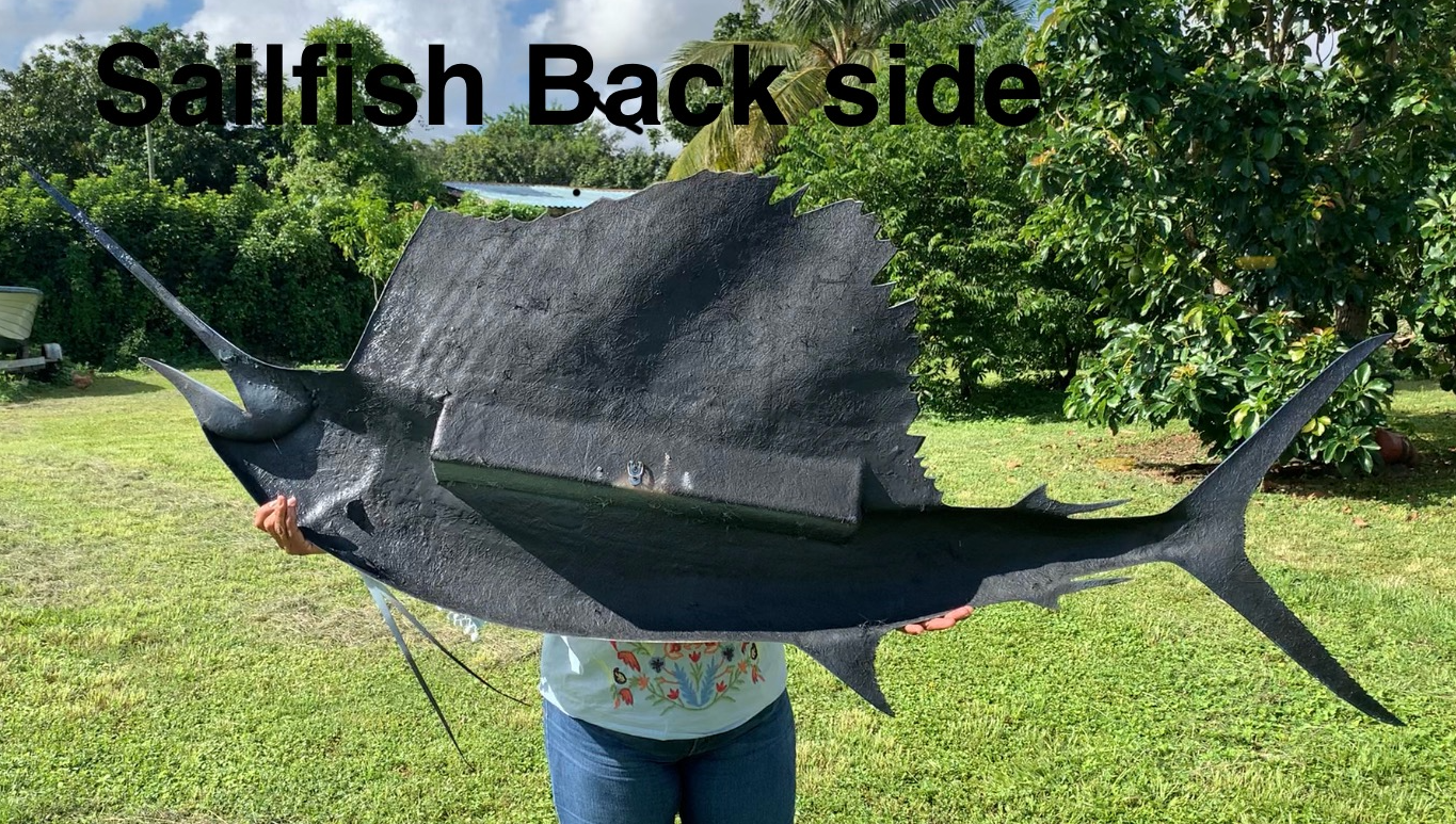 Person holding a large black sculpted model of a sailfish outdoors on grass, with trees and a boat in the background, and the text 'Sailfish Back side' at the top.