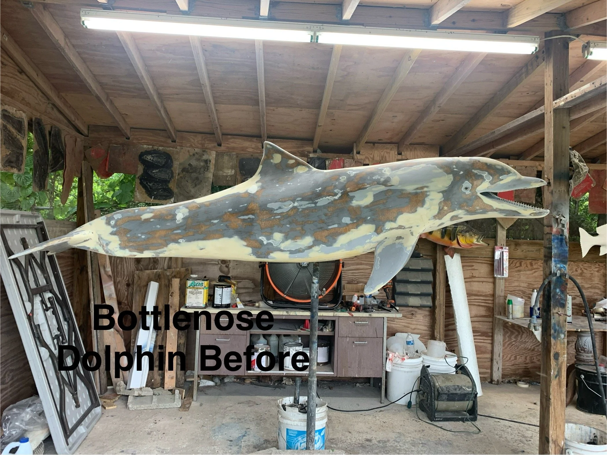 The image shows a garage with unfinished wooden framing and a dolphin sculpture that has been sanded and prepped for refinishing, positioned on a stand. Various tools and supplies are scattered throughout the garage.