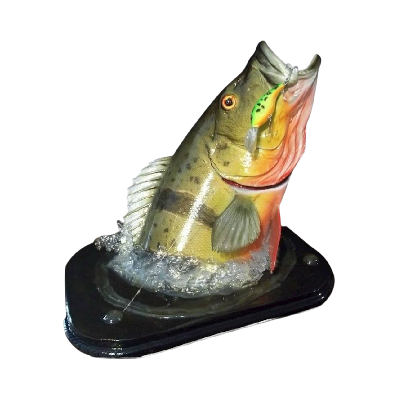 PEACOCK BASS TROPHY 68.PNG