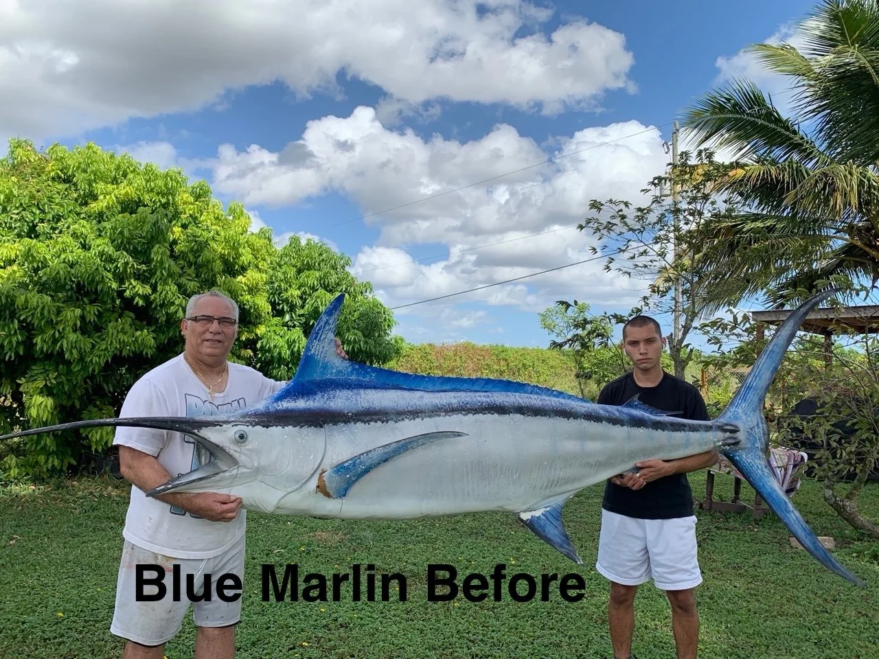 Two men holding a large blue marlin fish outdoors in a backyard with green trees and cloudy sky.