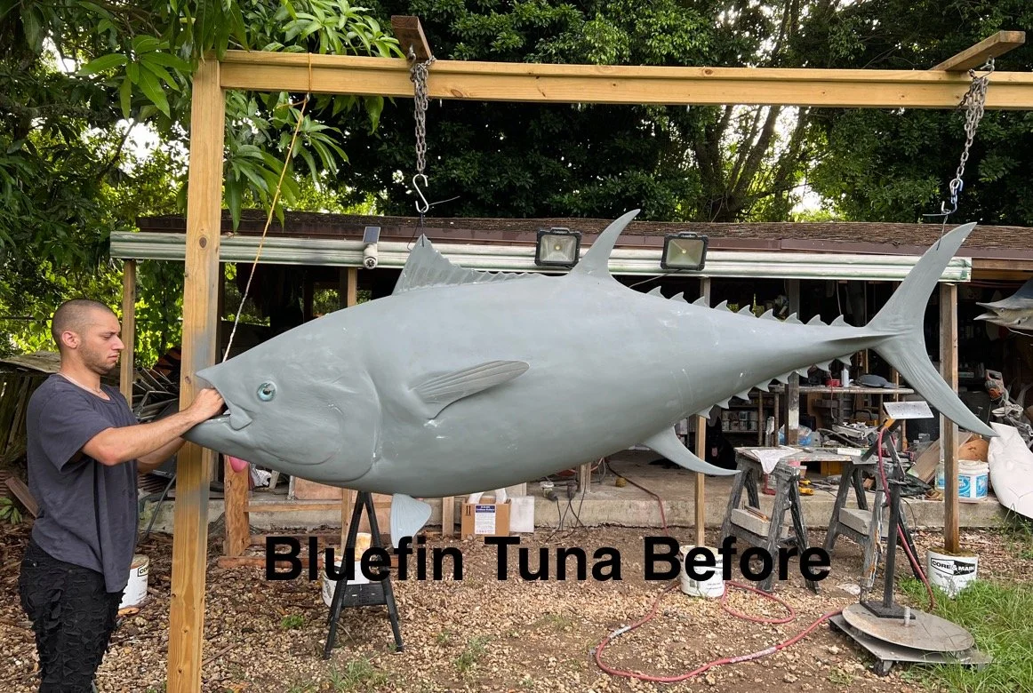 A man holding a large, realistic model of a bluefin tuna fish in an outdoor workshop. The model is gray and suspended from a wooden frame, with tools and materials in the background. Text on the image reads "Bluefin Tuna Before."