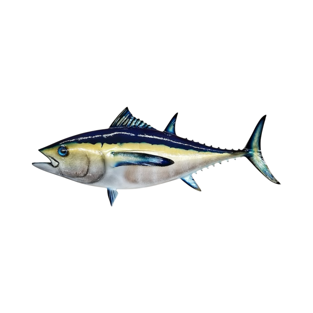 BLAKFIN TUNA 41.PNG