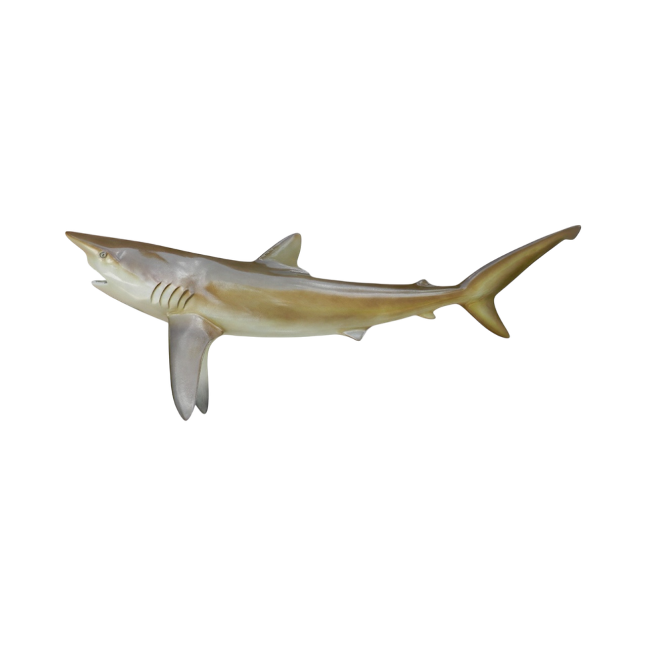 LEMON SHARK 80.PNG