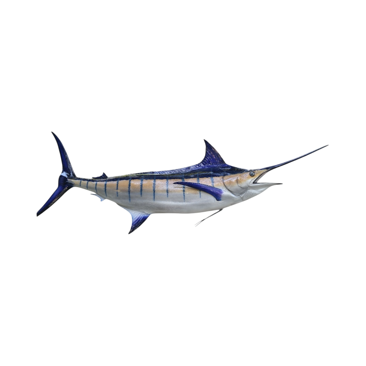 BLUE MARLIN 60.PNG