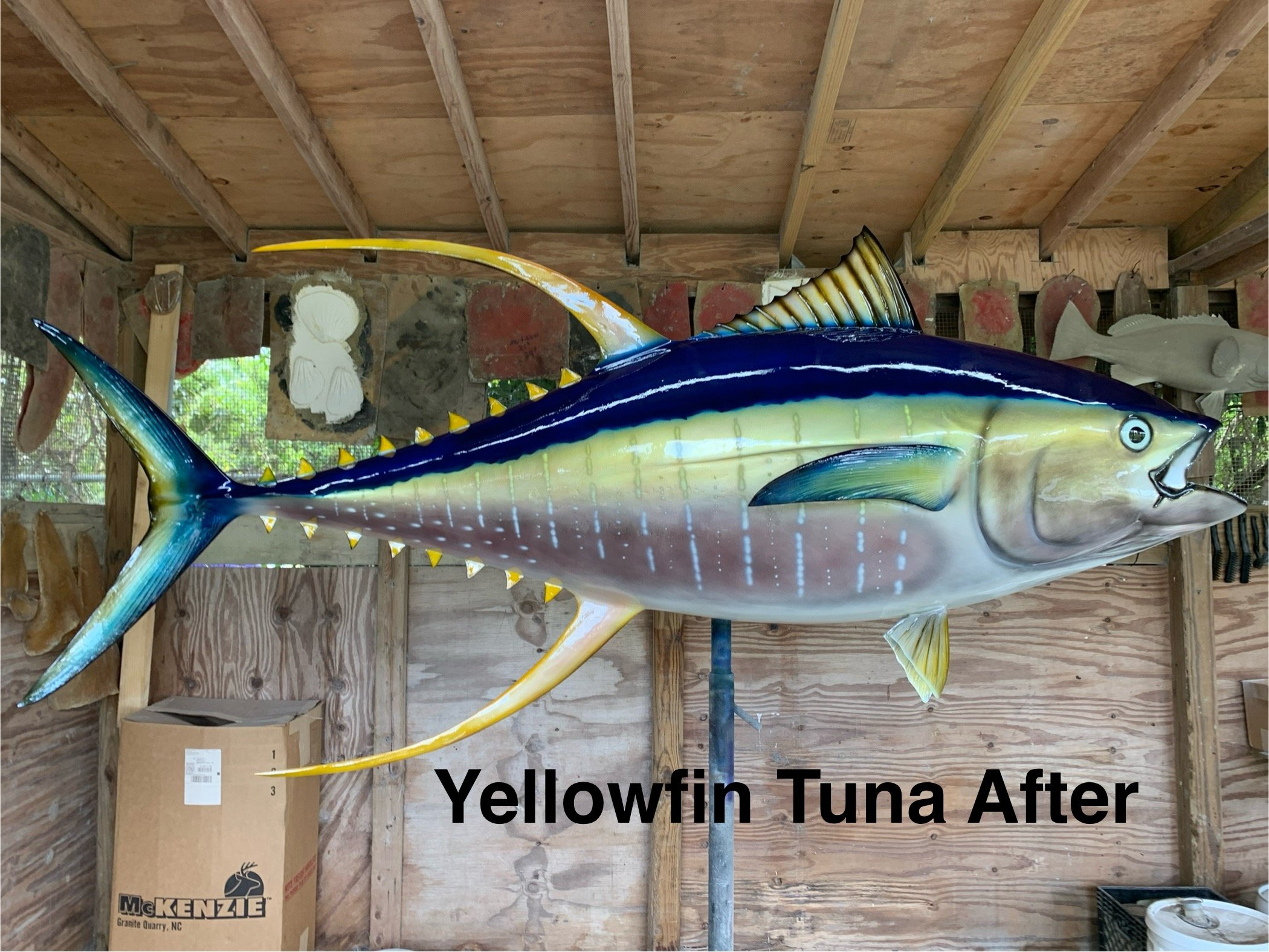 A colorful fish sculpture, resembling a yellowfin tuna, is displayed inside a wooden workshop with exposed beams. The fish has a yellow and blue coloration, with a realistic eye and fins. There is a cardboard box with the McKenzie logo and some tools
