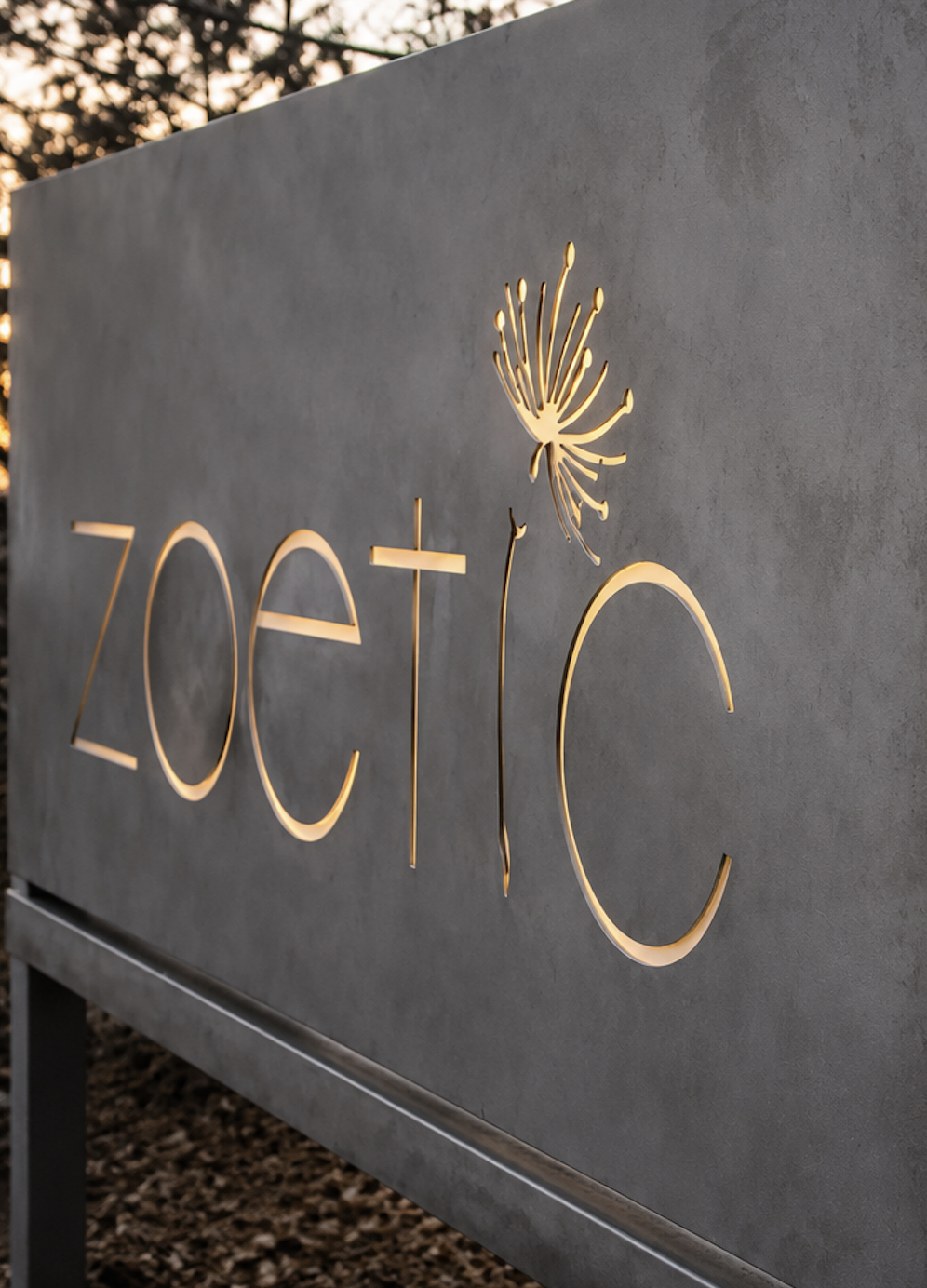 Close-up of a gray sign with illuminated cut-out letters spelling 'zeta' and a stylized flower or dandelion logo beside the letter 'i', all lit from behind against an outdoor background at sunset.