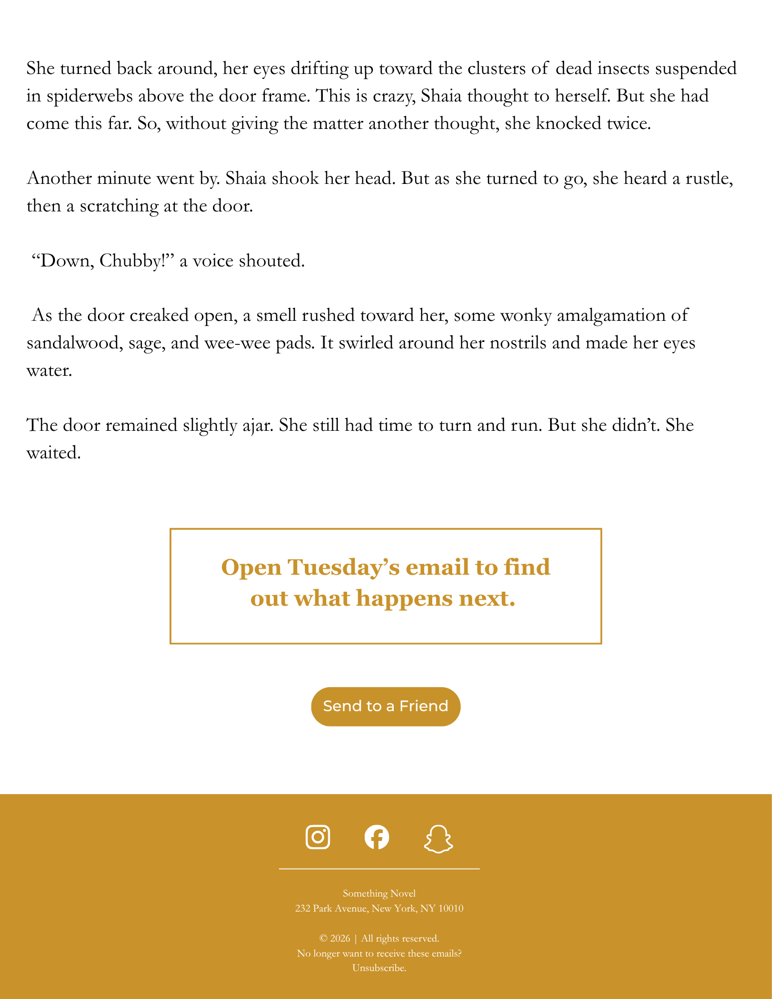 Screenshot of a digital subscription service webpage for 'Something Novel' located at 232 Park Avenue, New York, NY 10010. The page features a section about opening Tuesday's email to find out what happens next, with a call-to-action button labeled 'Send to a Friend'. The bottom of thePage has social media icons for Instagram, Facebook, and Snapchat, and the footer includes copyright information from 2026, a note indicating no longer receiving emails, and a link to unsubscribe.