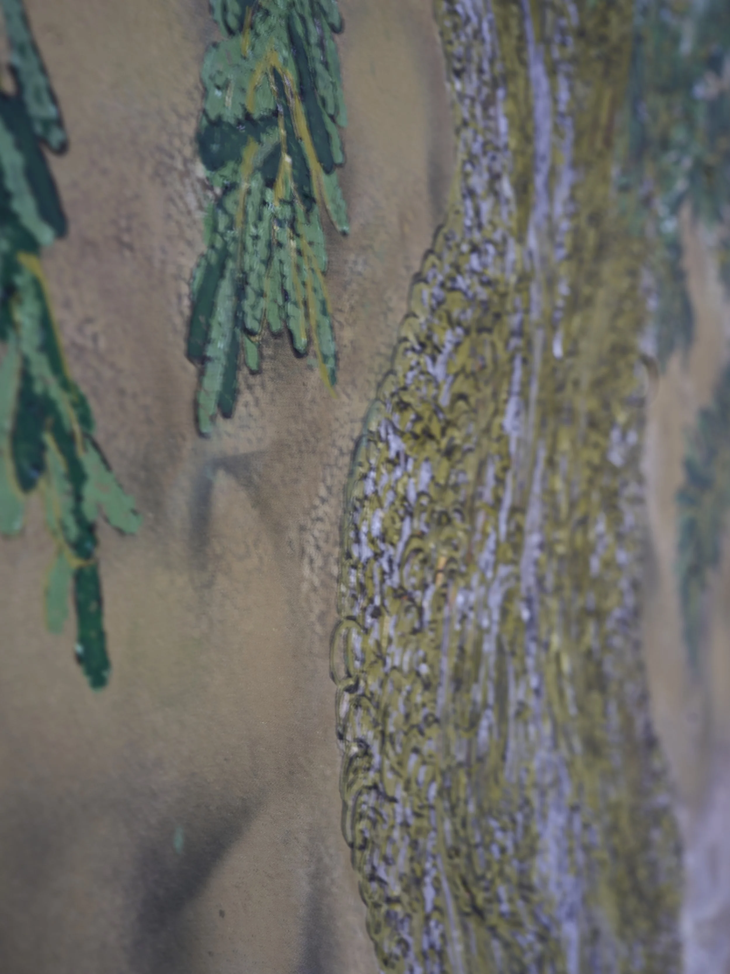 Mother tree Close Up.jpg
