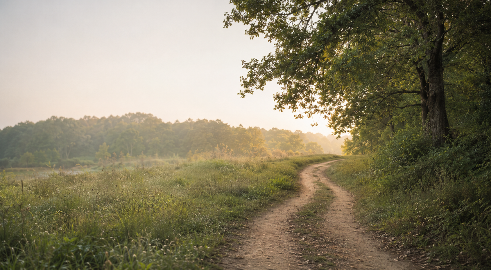 A dirt trail winds through a green field and trees, with the sunlight filtering through the branches.