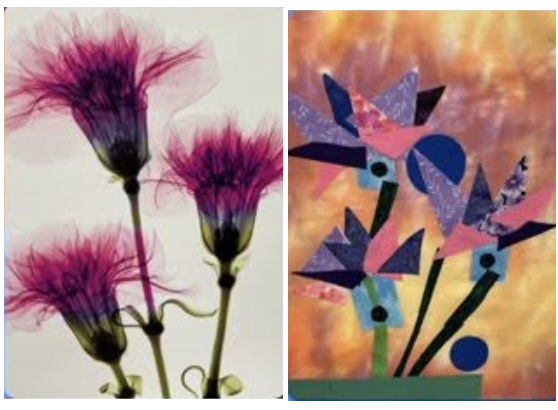 Left side features three pink fluffy flowers with long stems. Right side displays a colorful abstract collage with bird and plant shapes against an orange background.
