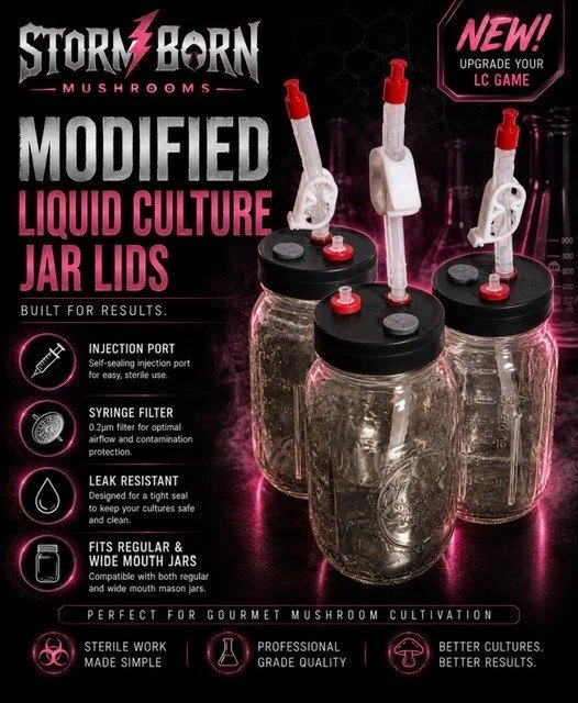 ModifiedLid2.jpg