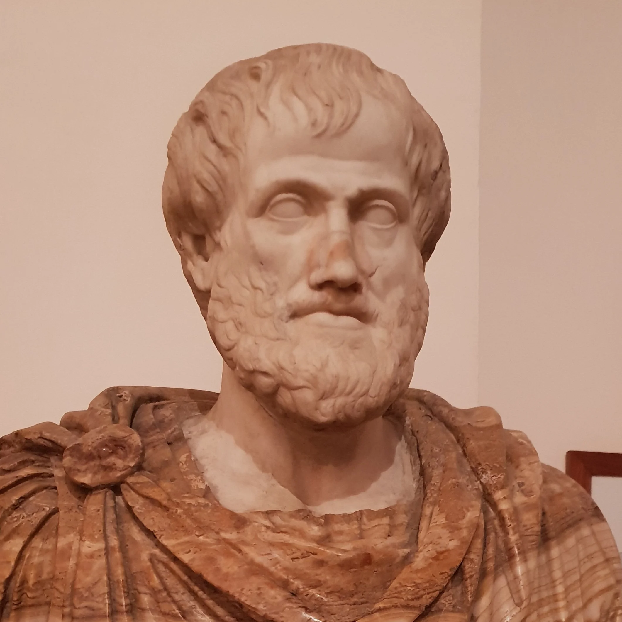 Marble bust sculpture of Aristotle with short hair, wearing a draped garment.