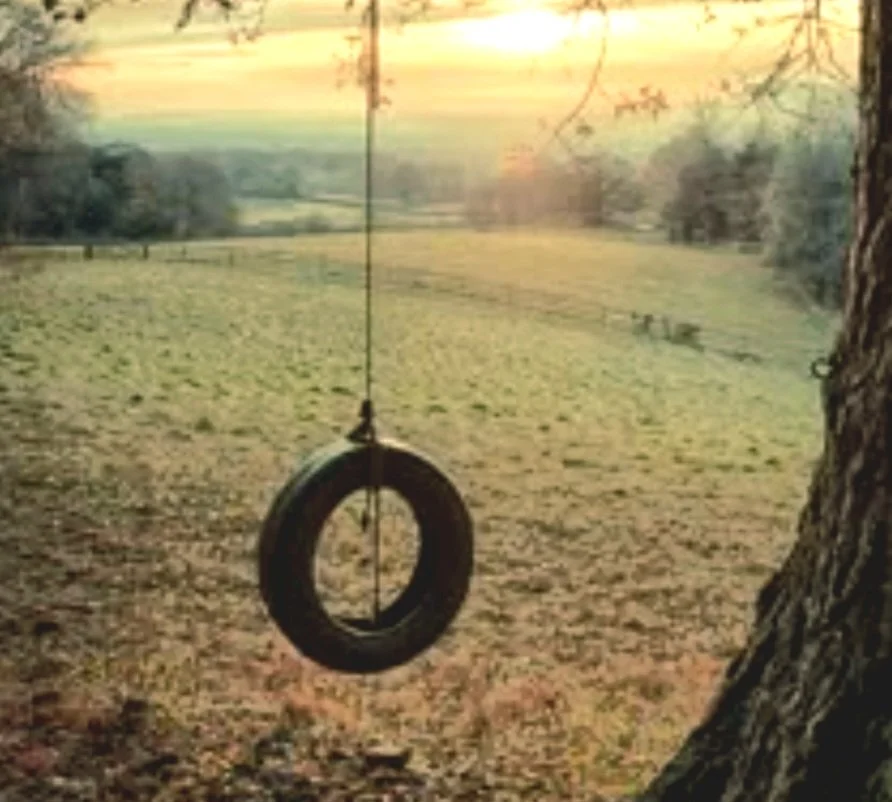 A tire swing hanging from a tree in a grassy field at sunset.