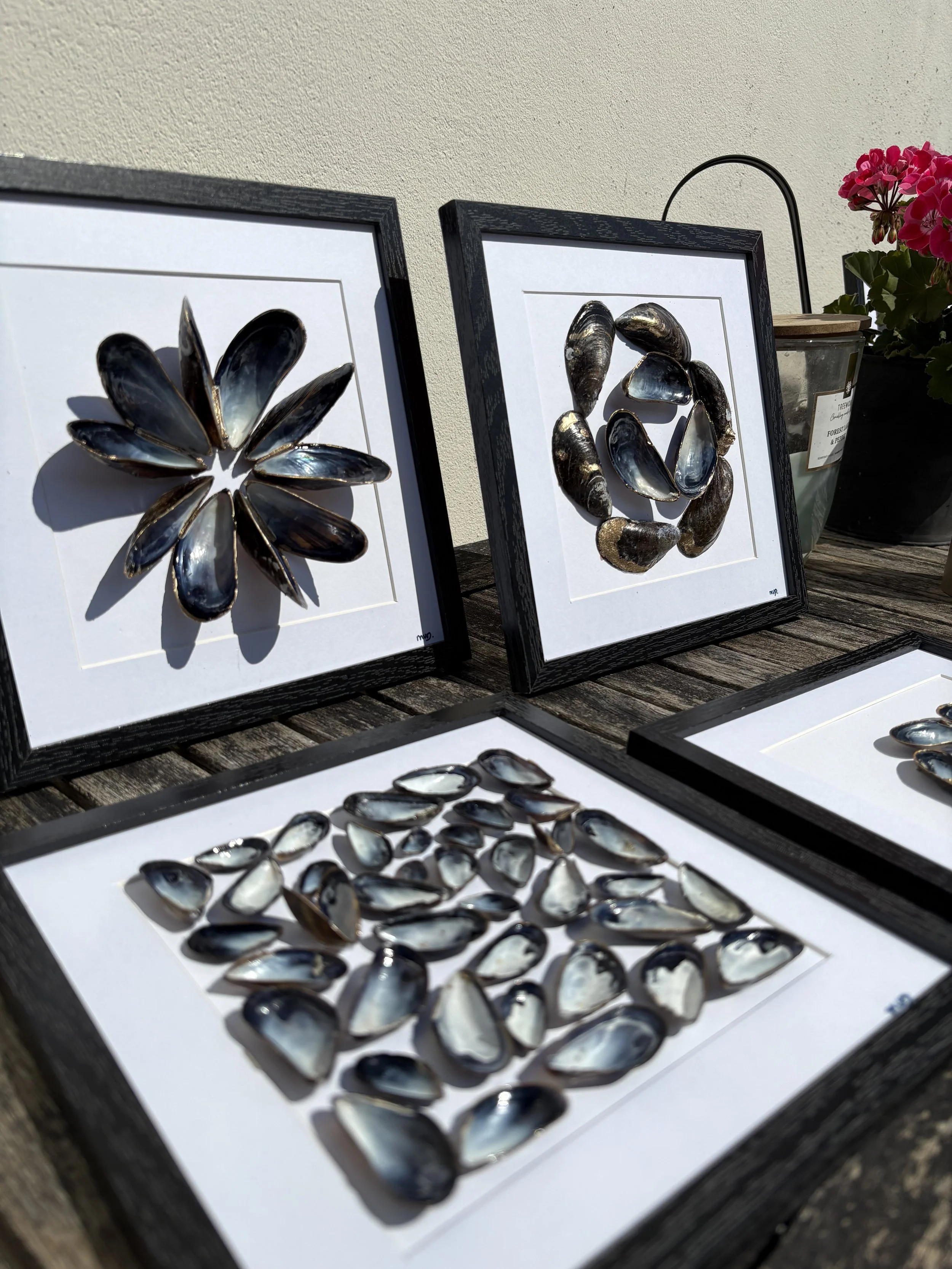 Fotografie van drie fotolijsten met opgezette schelpen en parels, geplaatst op een houten tafel buiten, met potplanten en een witte muur op de achtergrond.