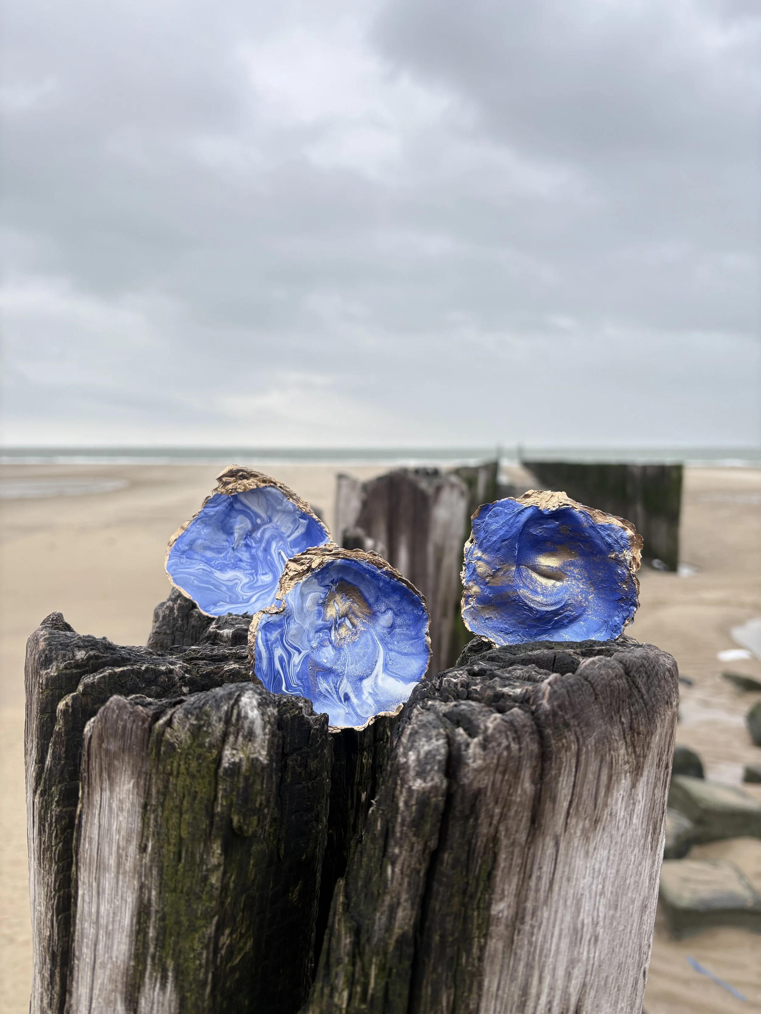 Drie blauwe en goudkleurige oesters op een paalhoofd op het strand en een bewolkte hemel op de achtergrond.
