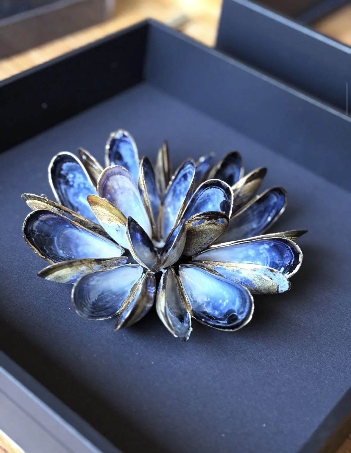 Sieraden in de vorm van een bloem, gemaakt van blauwe en gouden schelpen, in een zwarte doos.