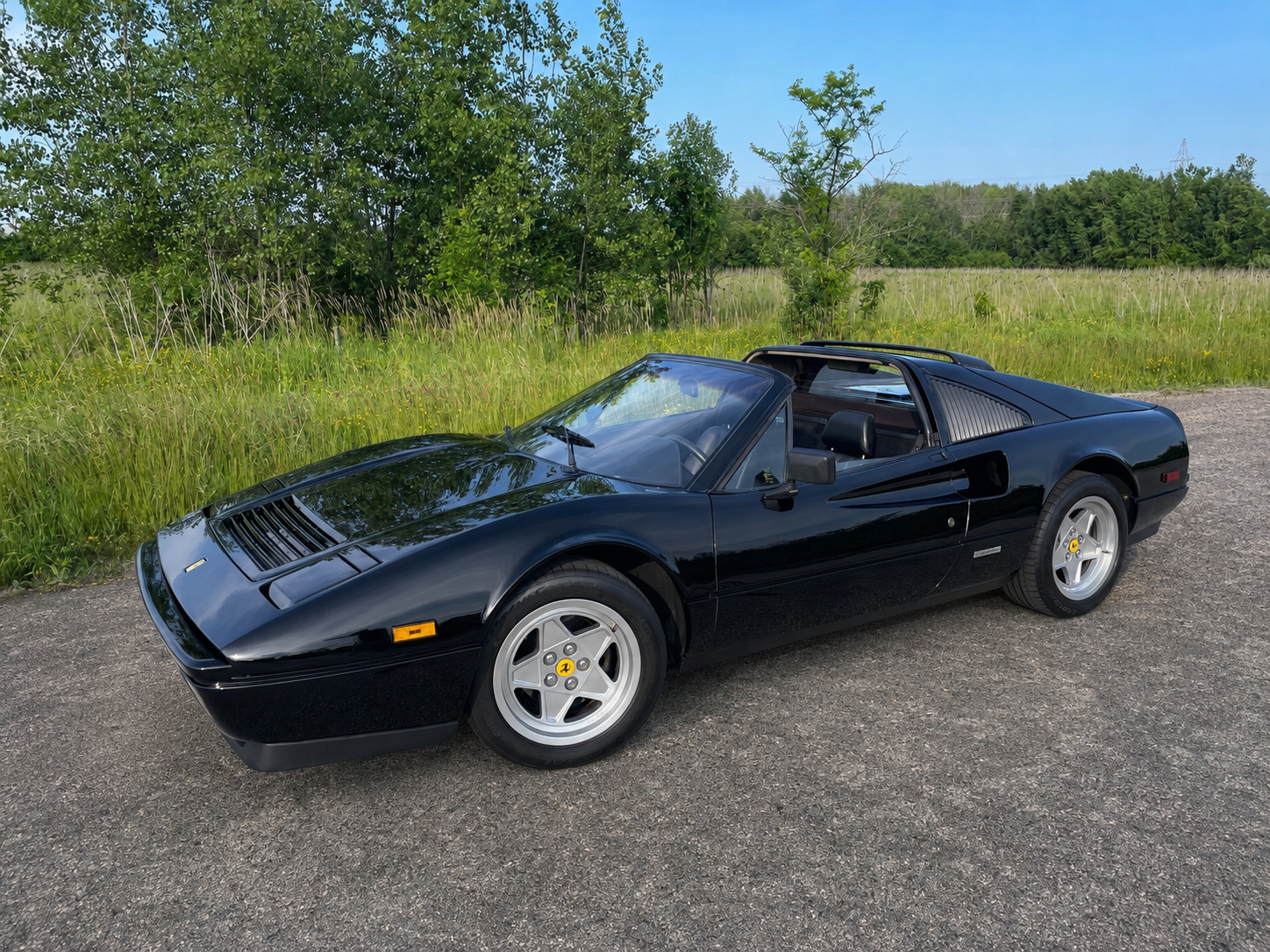 A black vintage Ferrari convertible sports car parked on a rural road with green grass, trees, and a blue sky in the background.