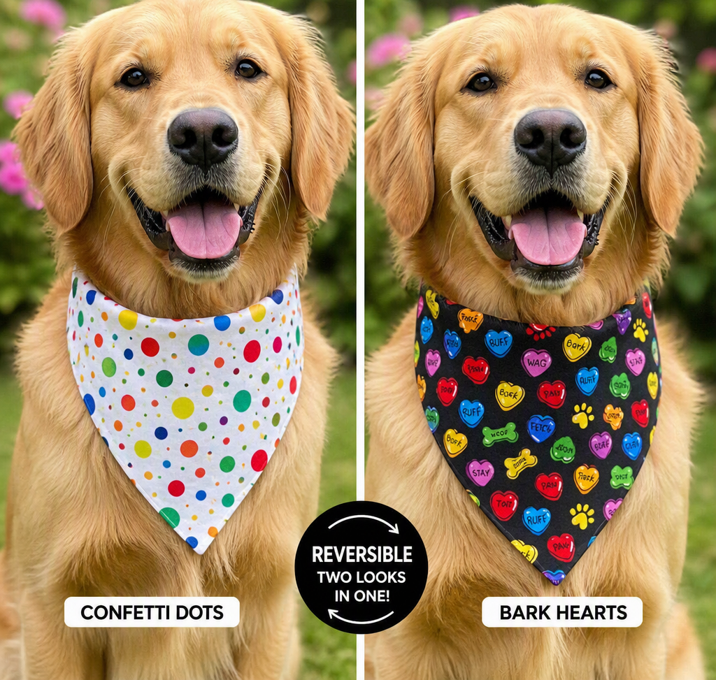 Pawty Time Reversible Bandana