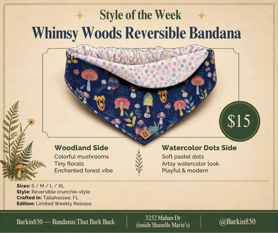 Whimsy Woods Reversible Bandana