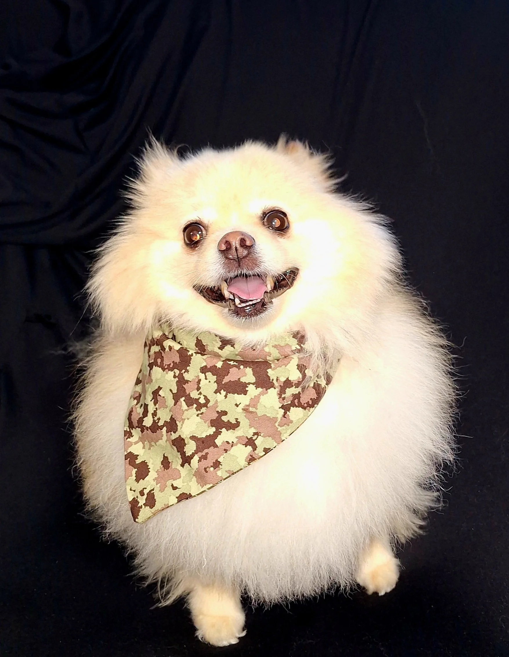 Camo Edition