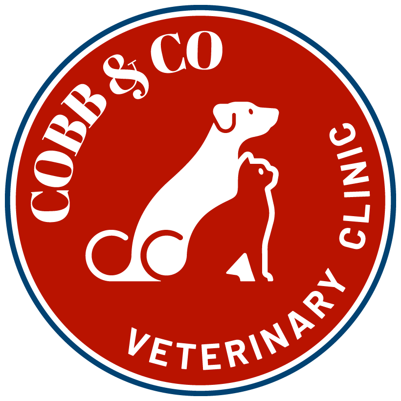 Logo of Cobby & Co Veterinary Clinic with a dog and a cat silhouette inside a red circle.