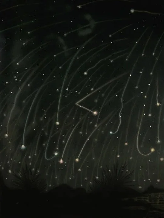 Night sky showing falling stars or meteor shower with silhouettes of trees at the bottom.