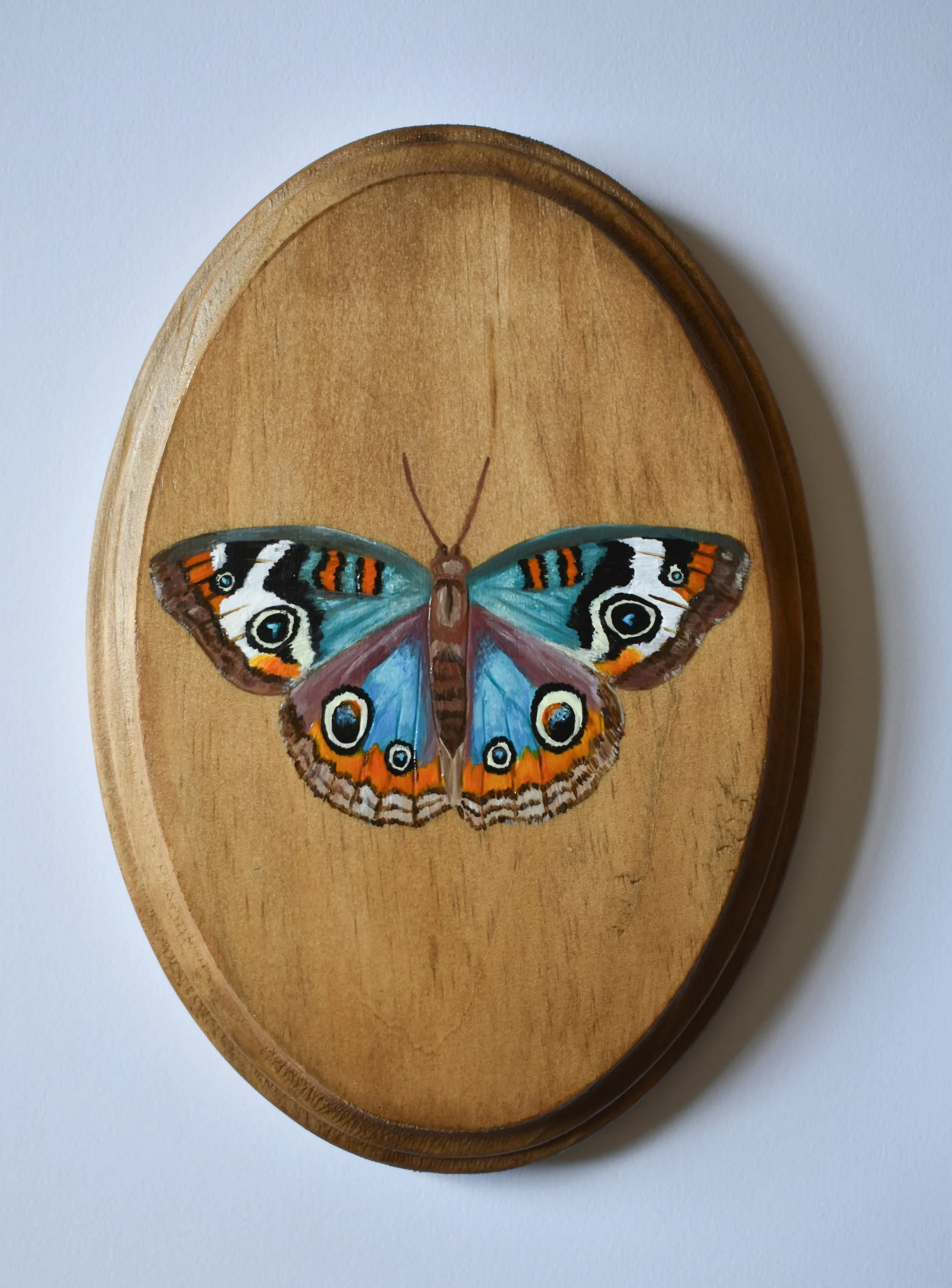 Hand-Painted Wooden Plaque - Blue Buckeye