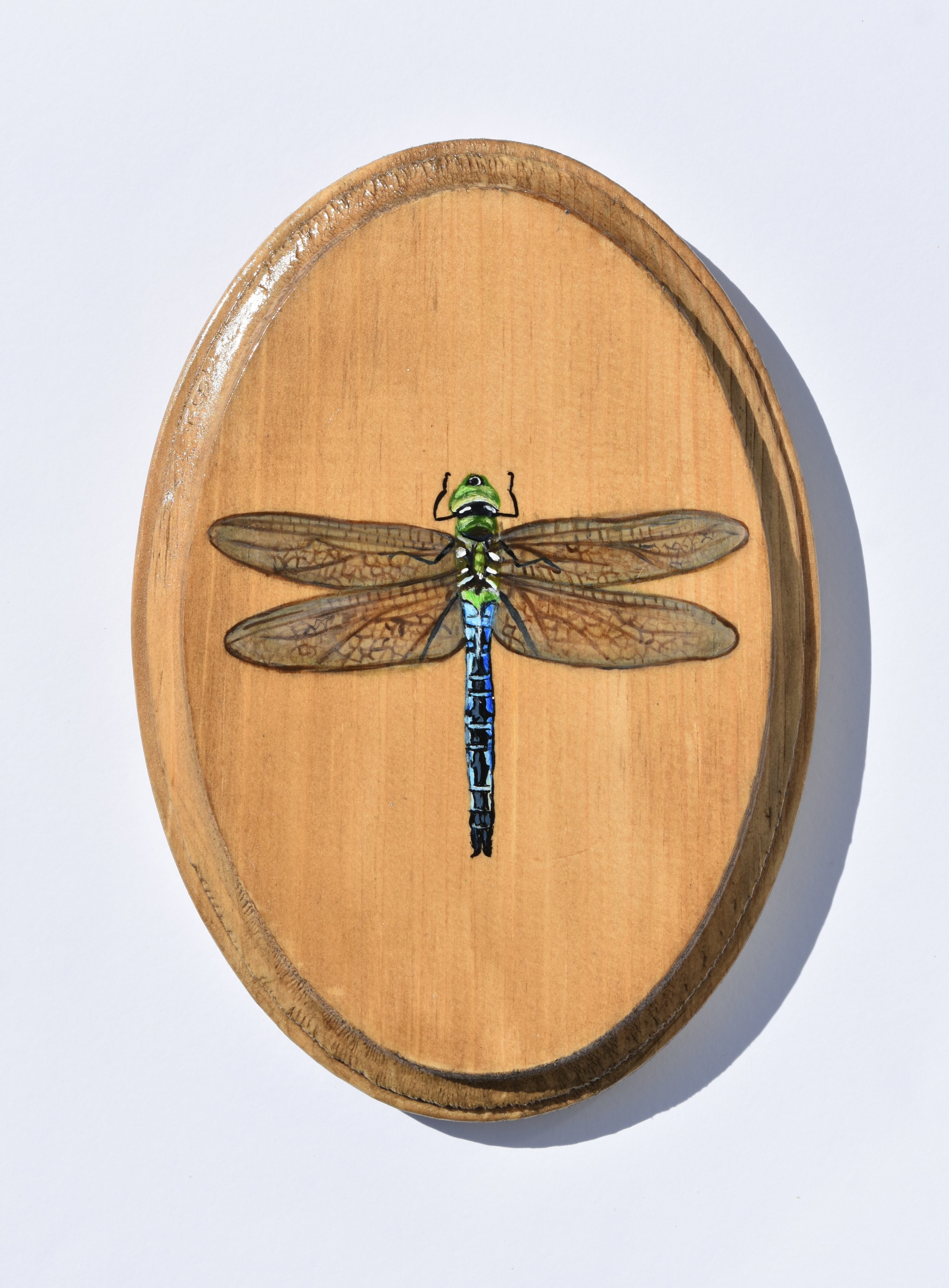 Hand-Painted Wooden Plaque - Dragonfy