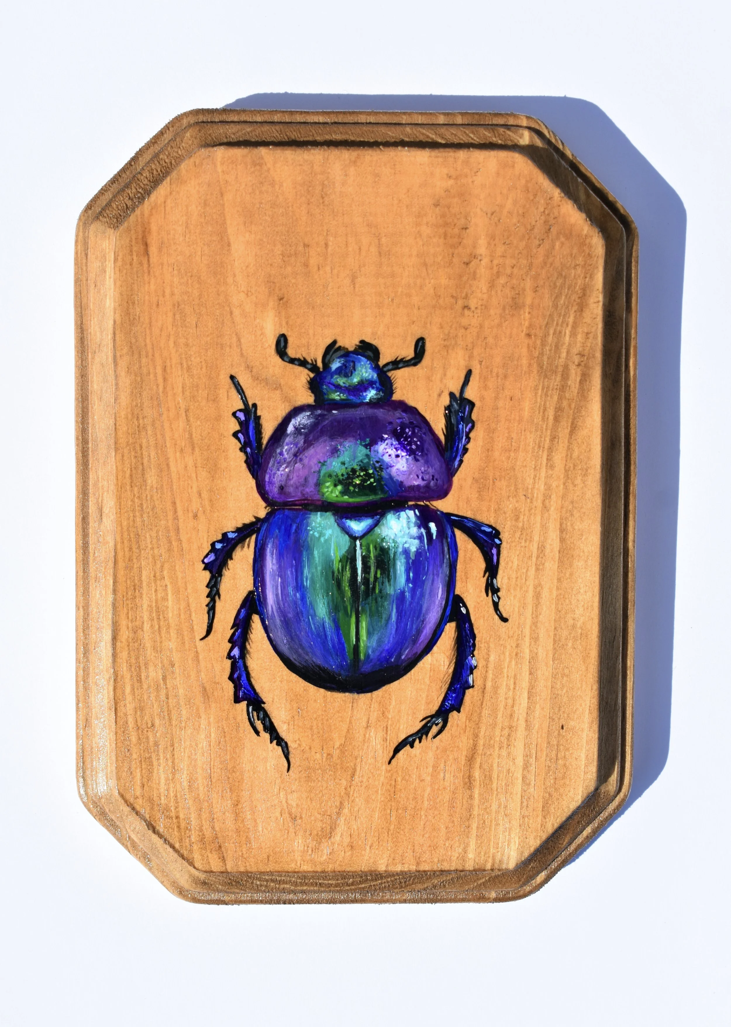 Hand-Painted Wooden Plaque - Scarab Beetle