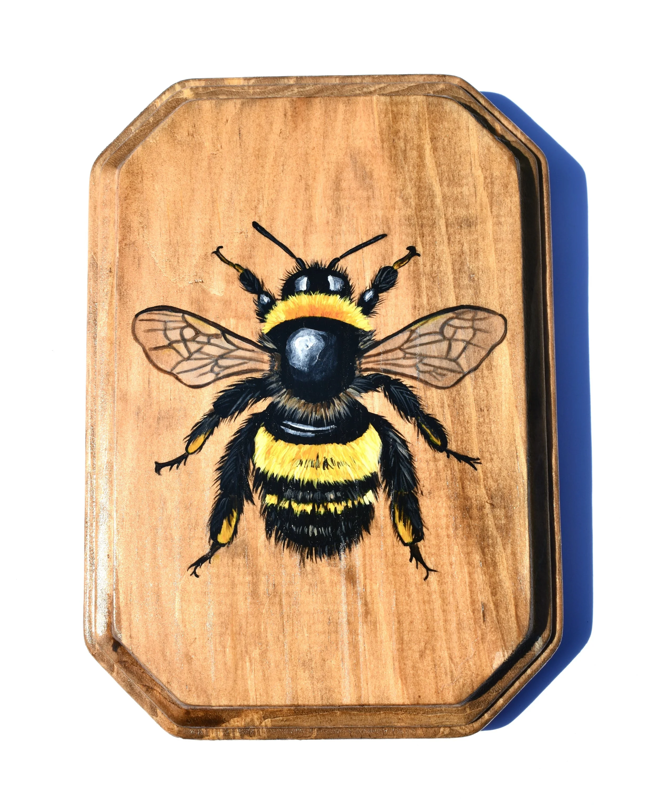 Hand-Painted Wooden Plaque - Bumble Bee