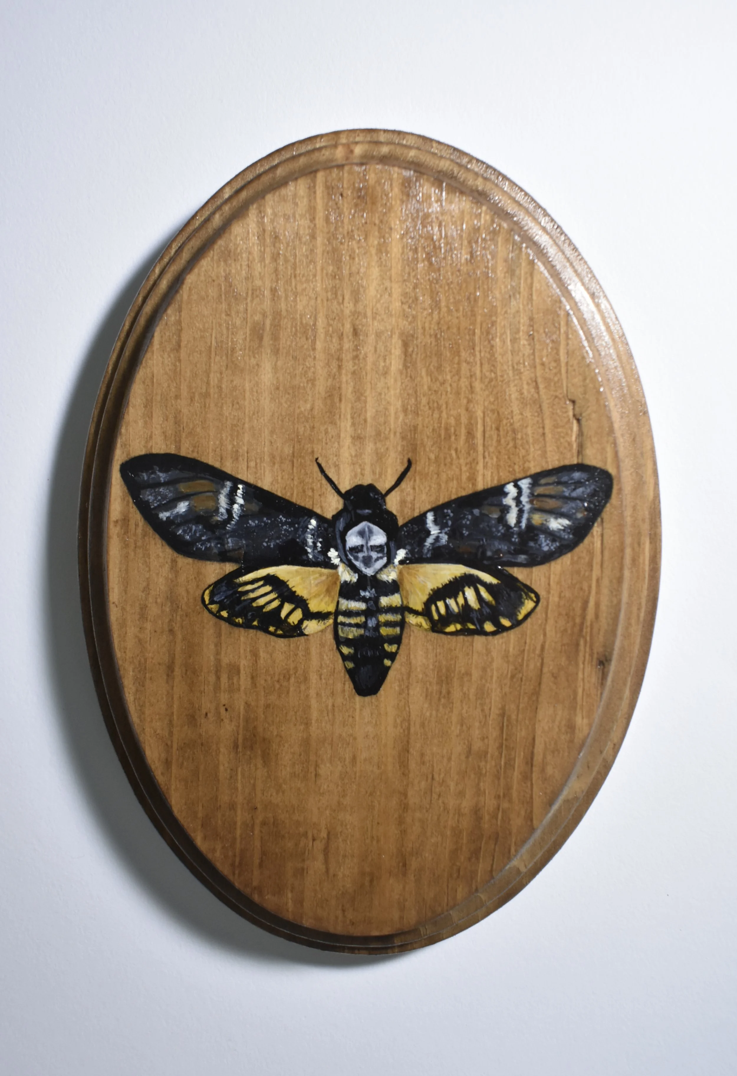 Hand-Painted Wooden Plaque - Death Head Moth