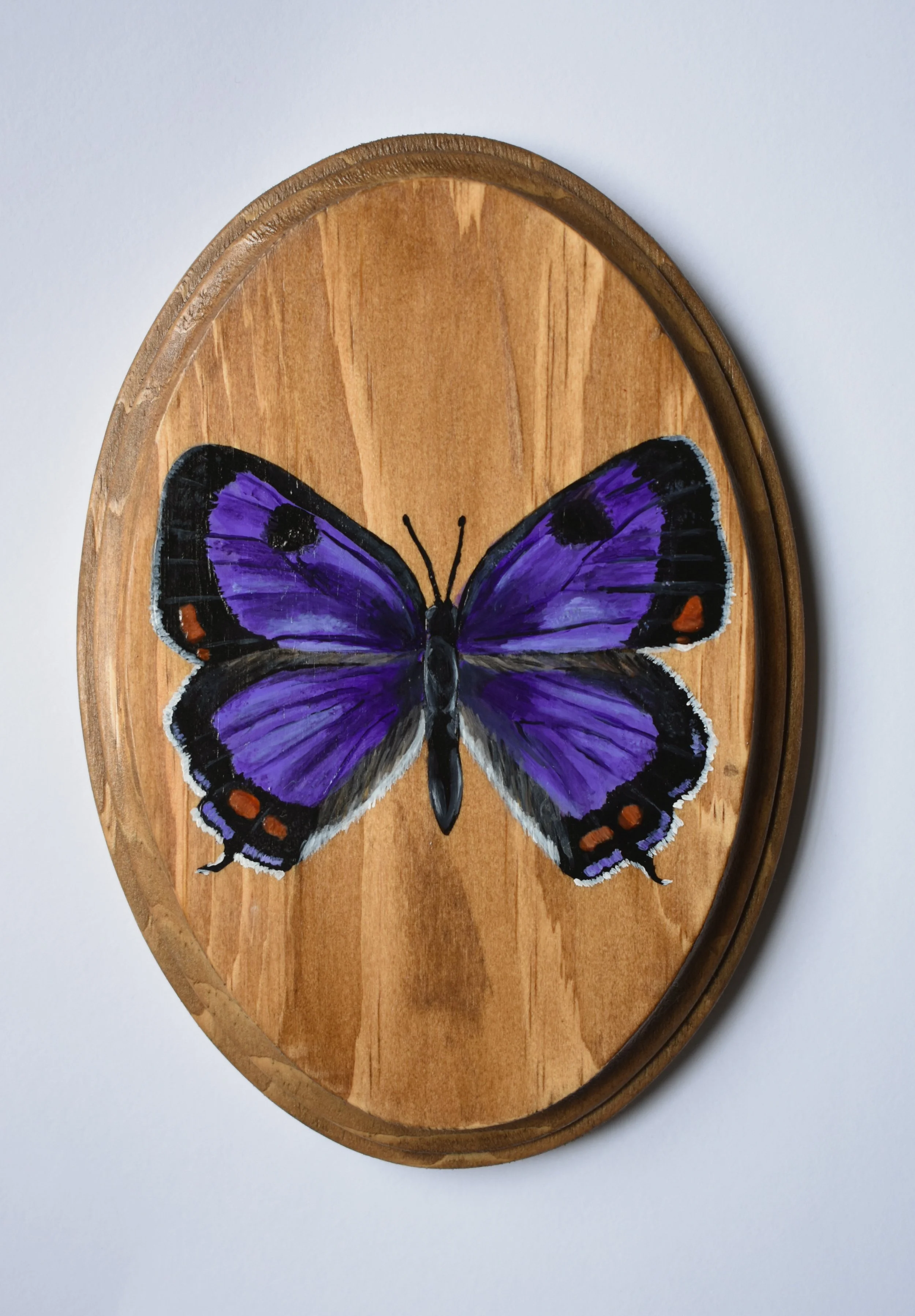 Hand Painted Wooden Plaque - Colorado Hairstreak