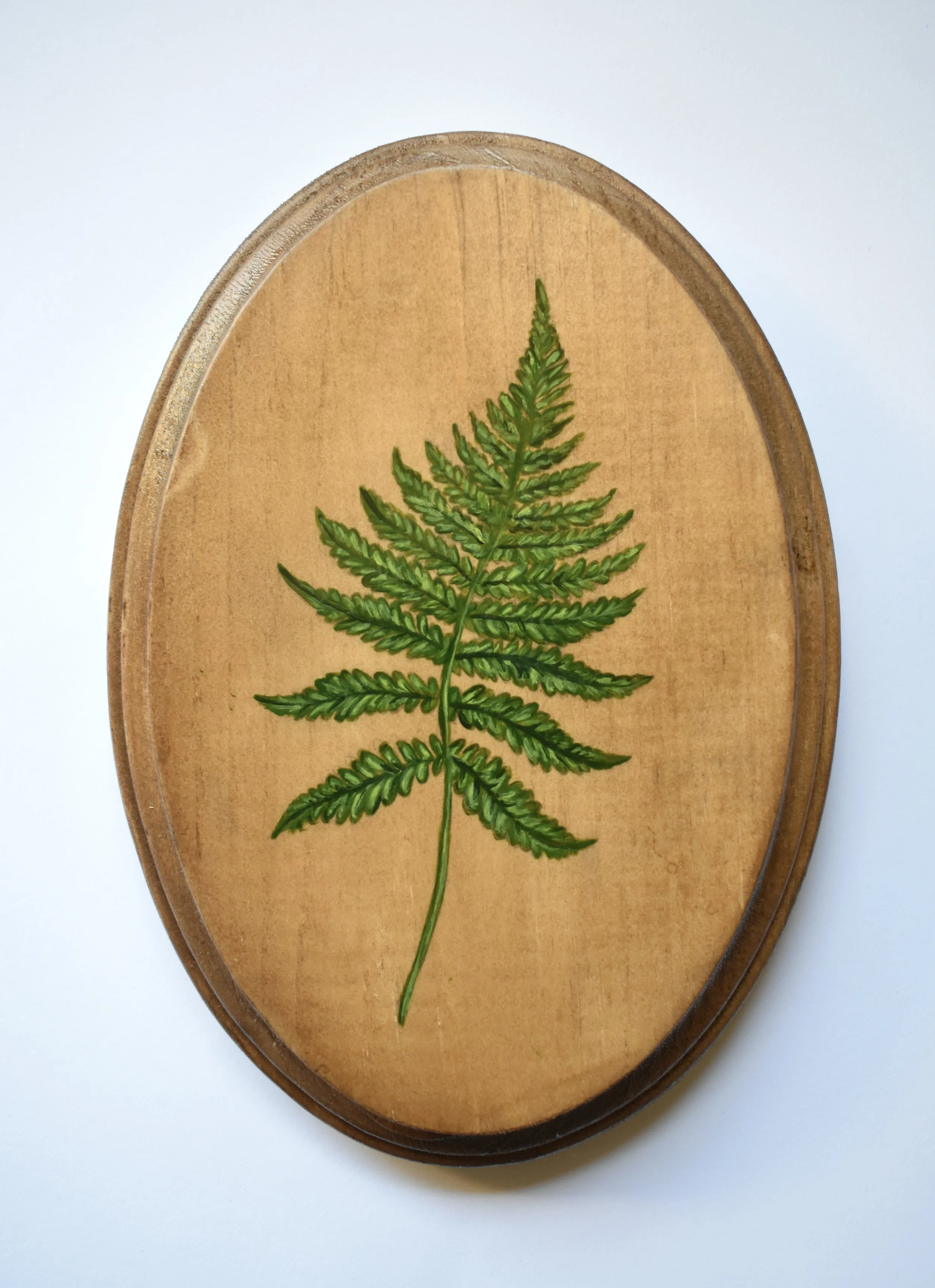 Fern.JPG