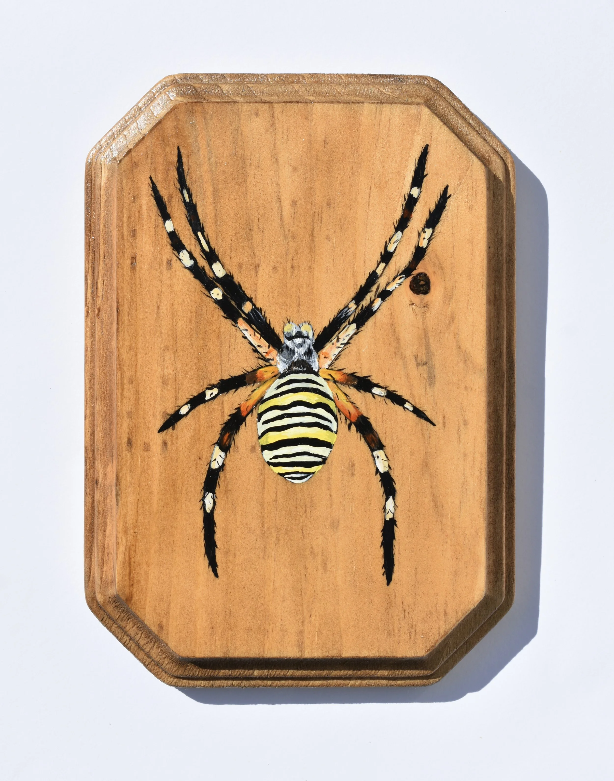 Hand-Painted Wooden Plaque - Orb Weaver