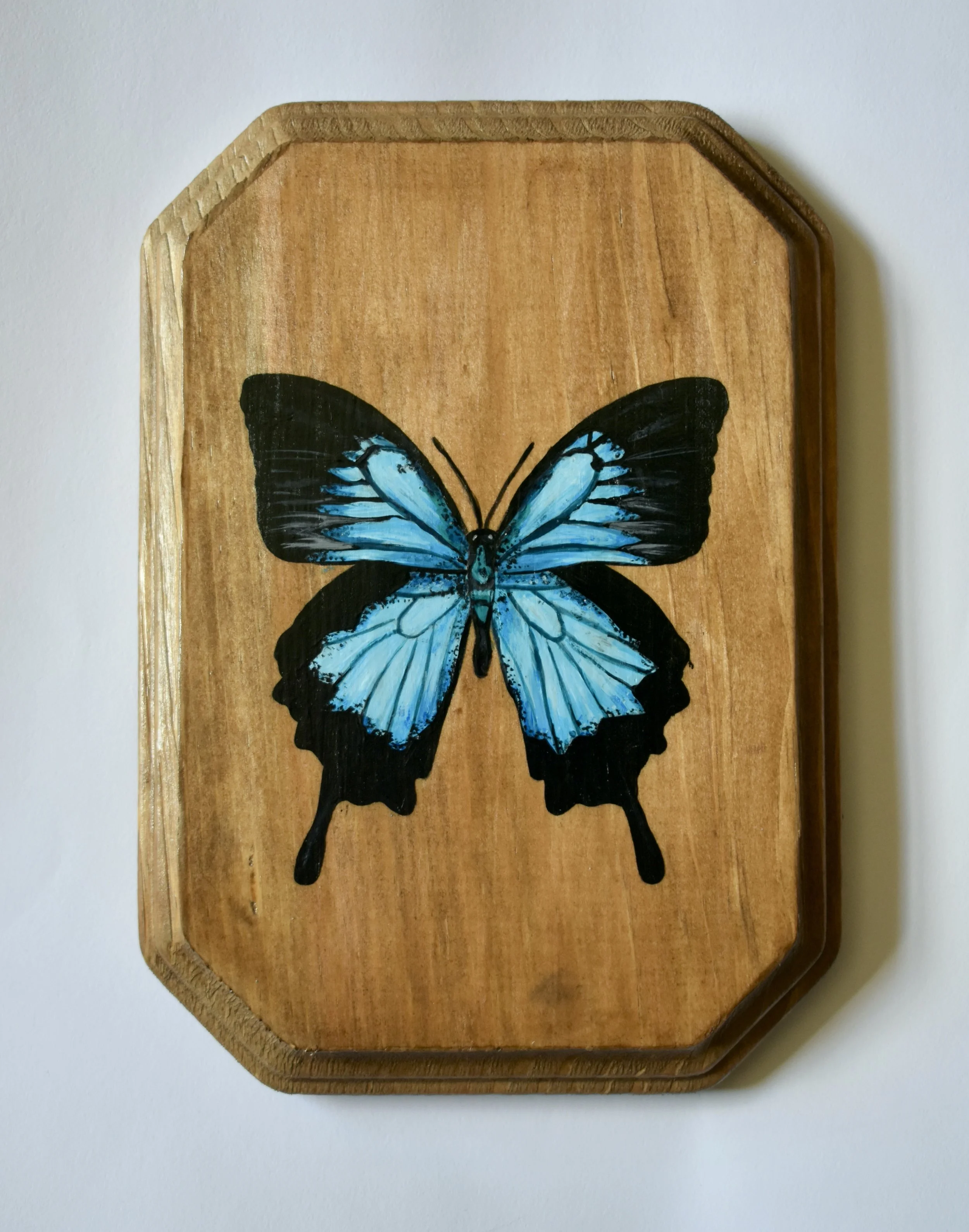 Hand-Painted Wooden Plaque - Ulysses Butterfly