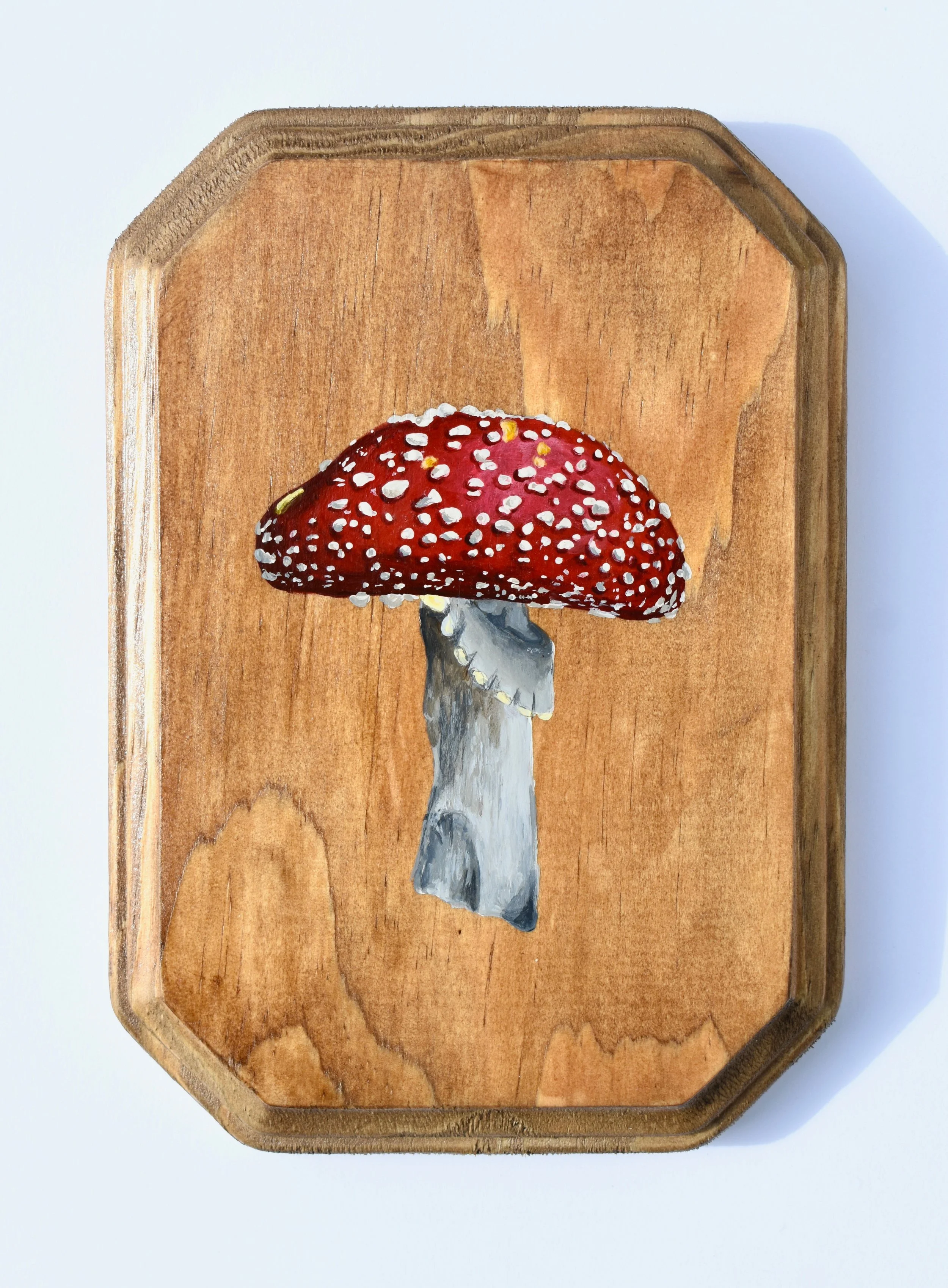 Hand-Painted Wooden Plaque - Amanita Mushroom