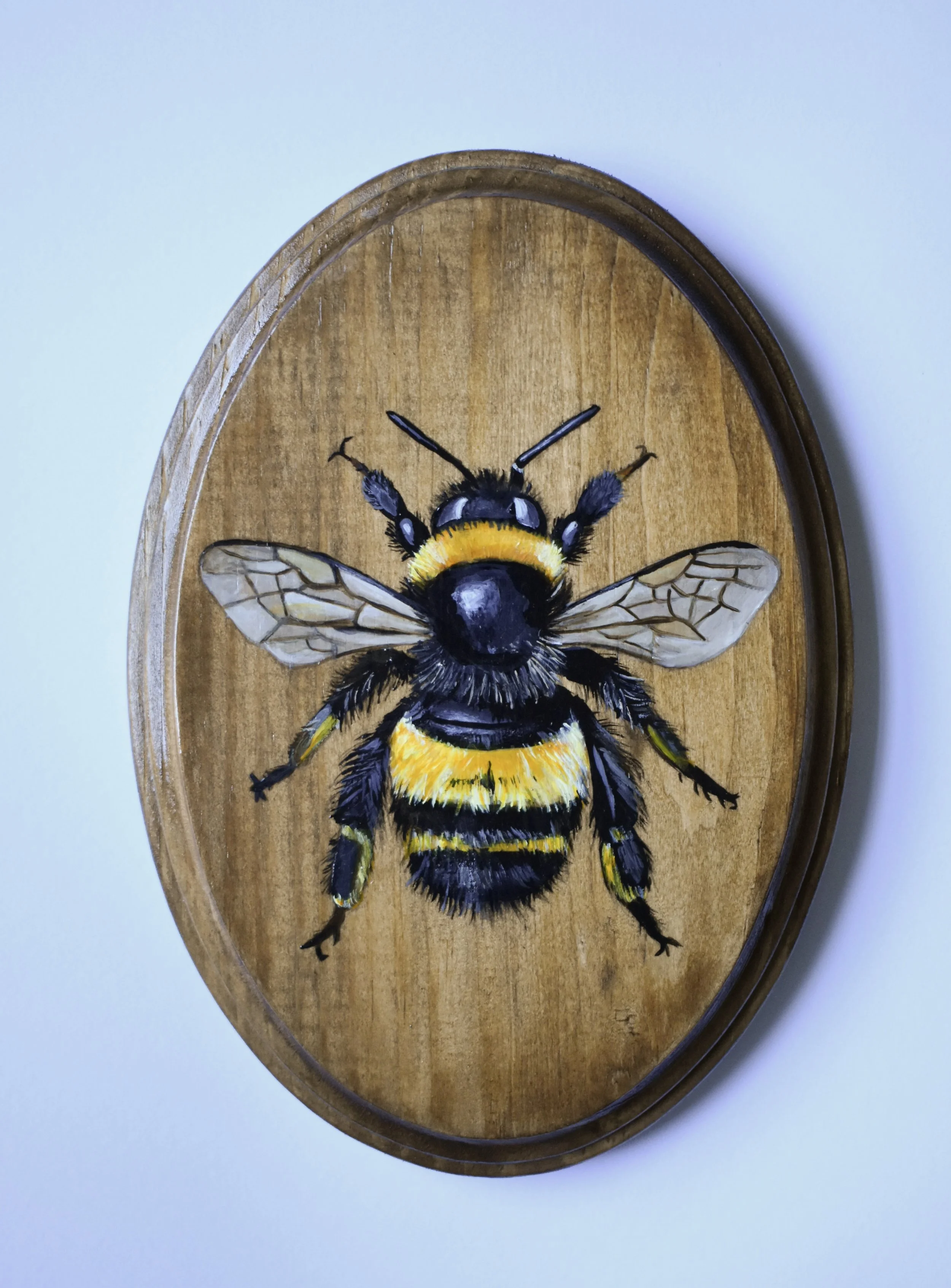 Hand-Painted Wooden Plaque - Bumble Bee