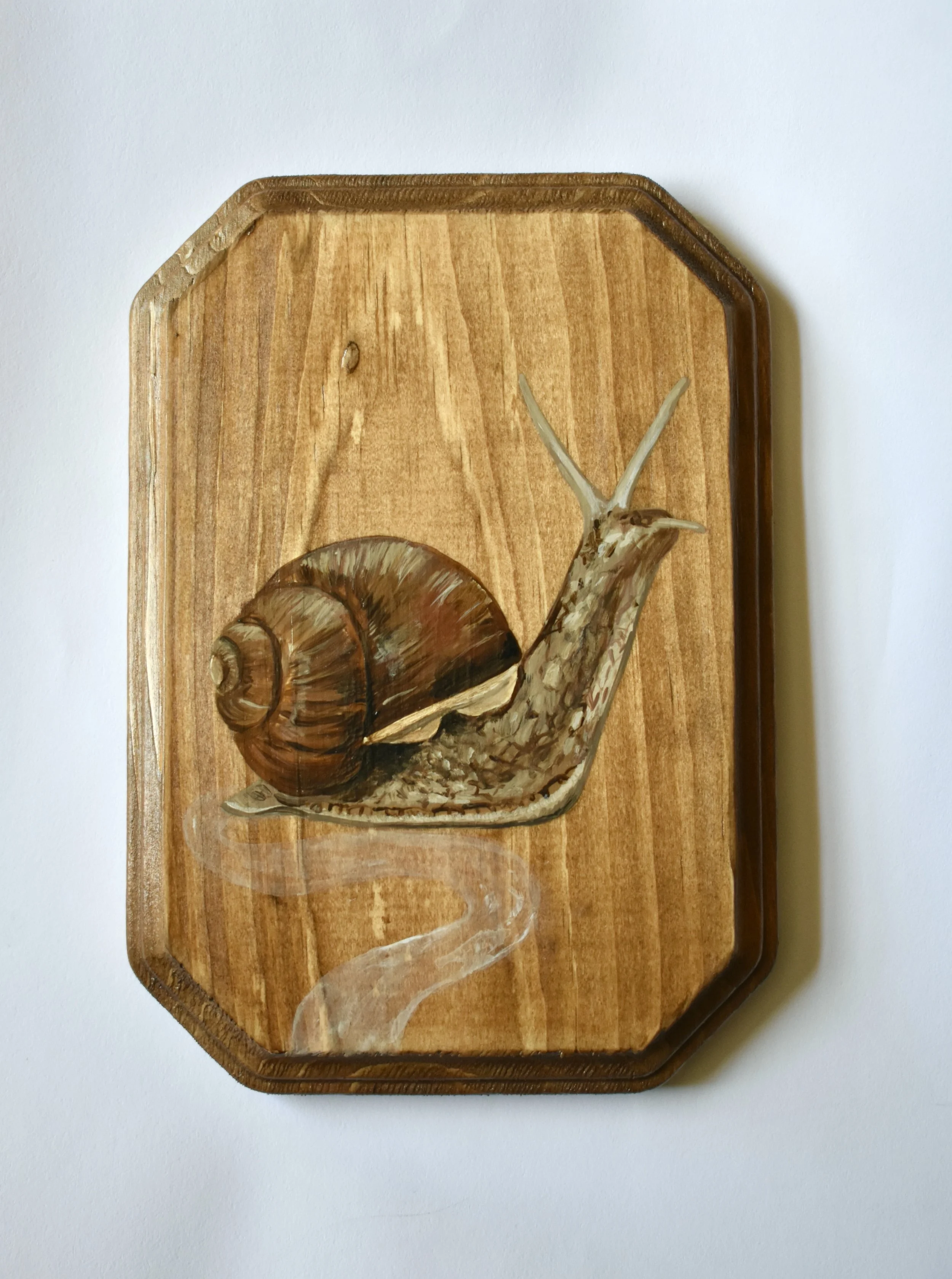 Hand-Painted Wooden Plaque - Snail