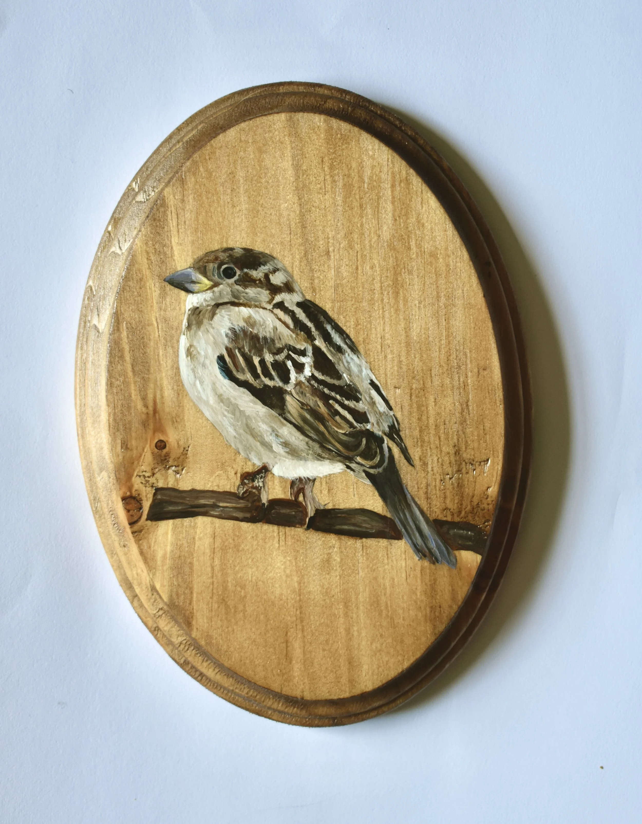 Hand Painted Wooden Plaque - Custom Bird