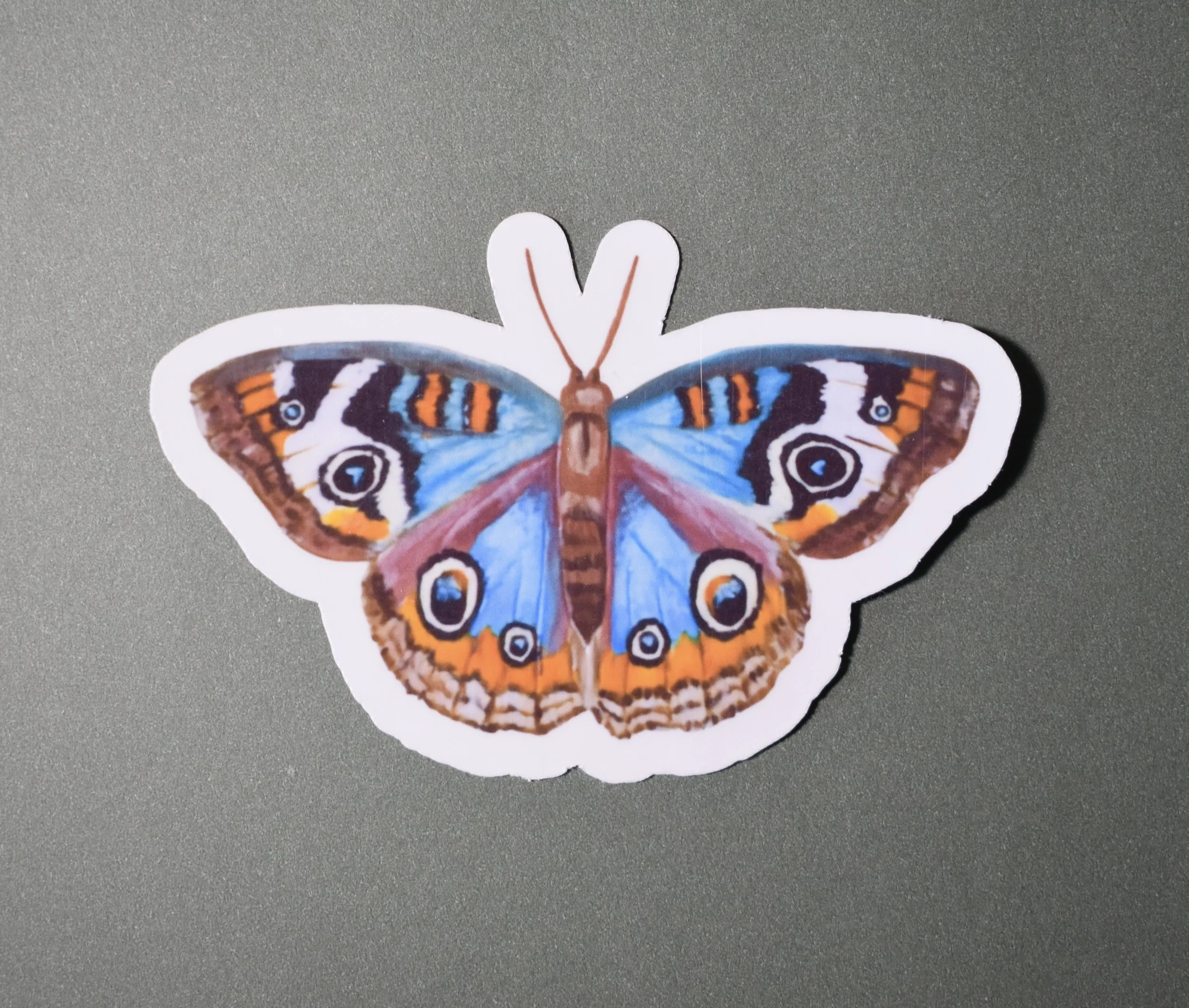 3-inch Vinyl Sticker - Blue Buckeye