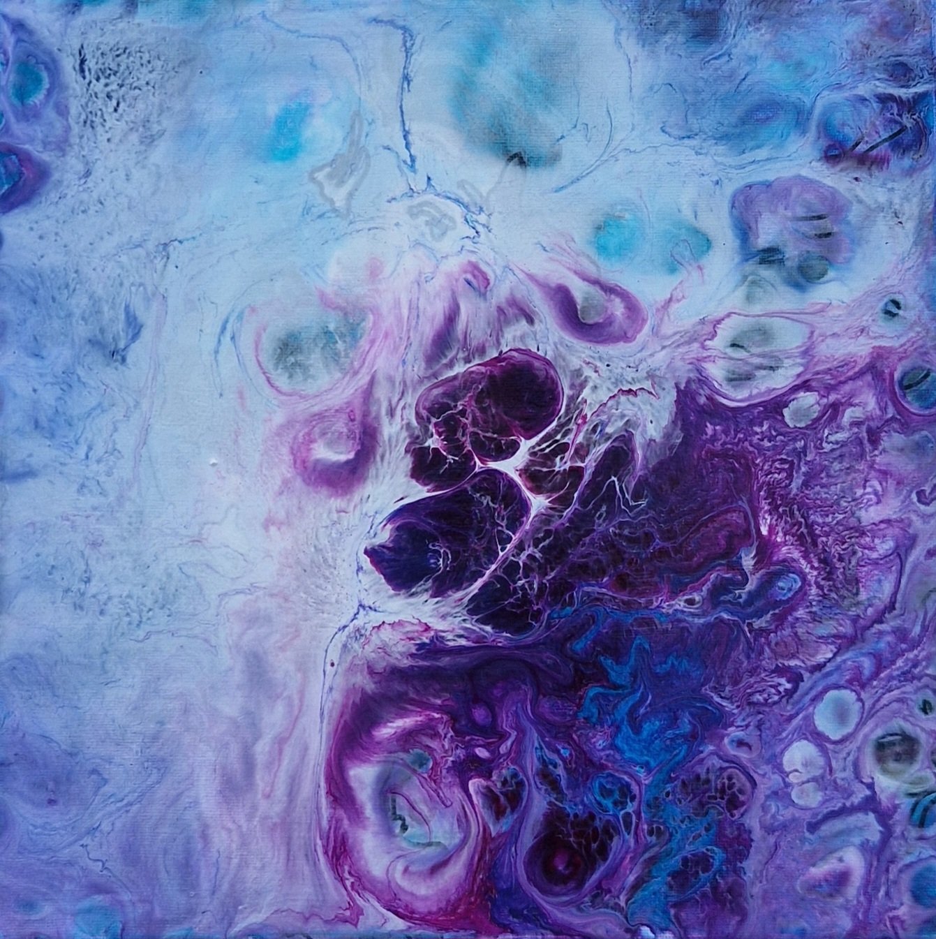 Ellie Goodliffe, Histology x40, 2026.jpg