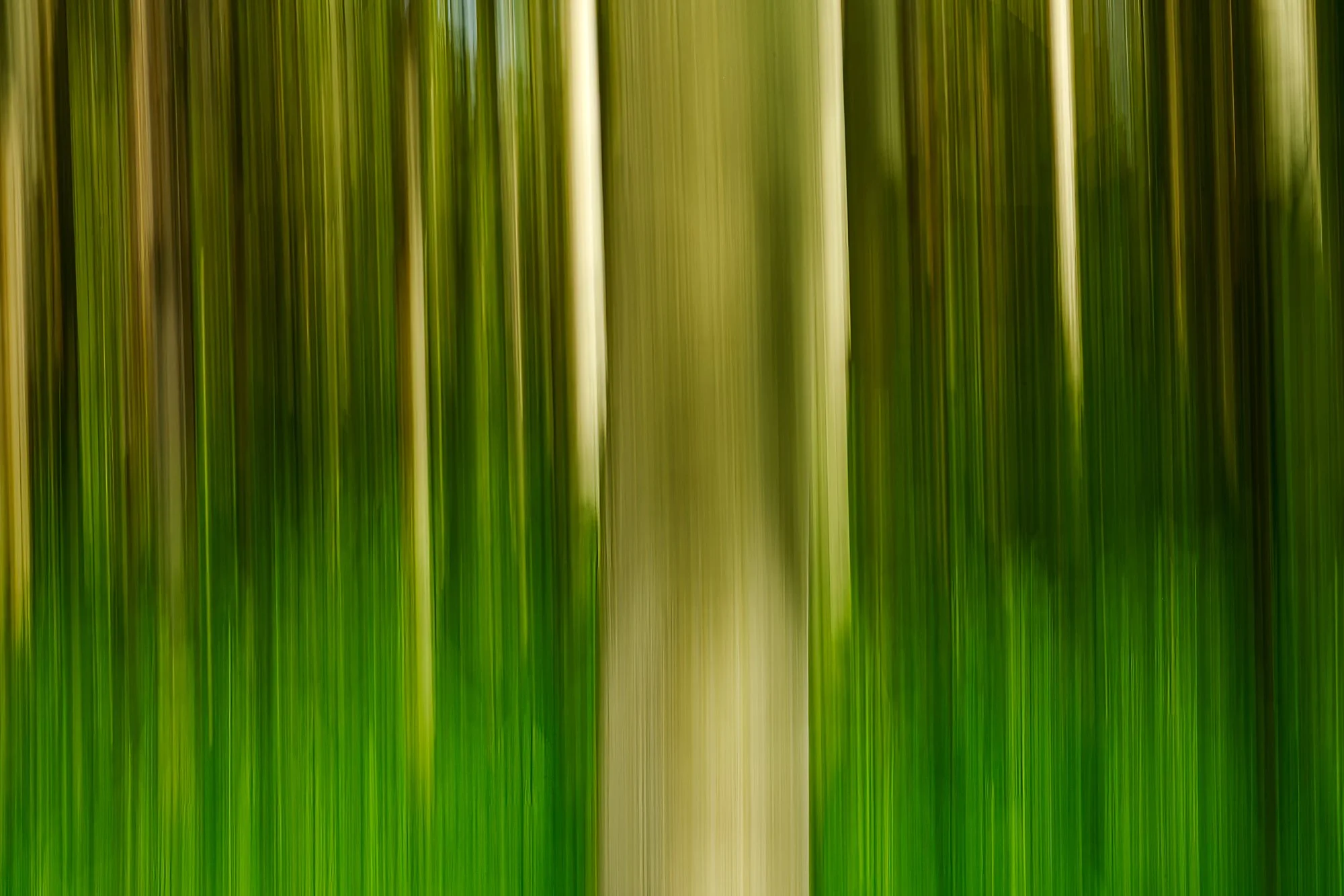 DSC_7344-Edit-2.jpg