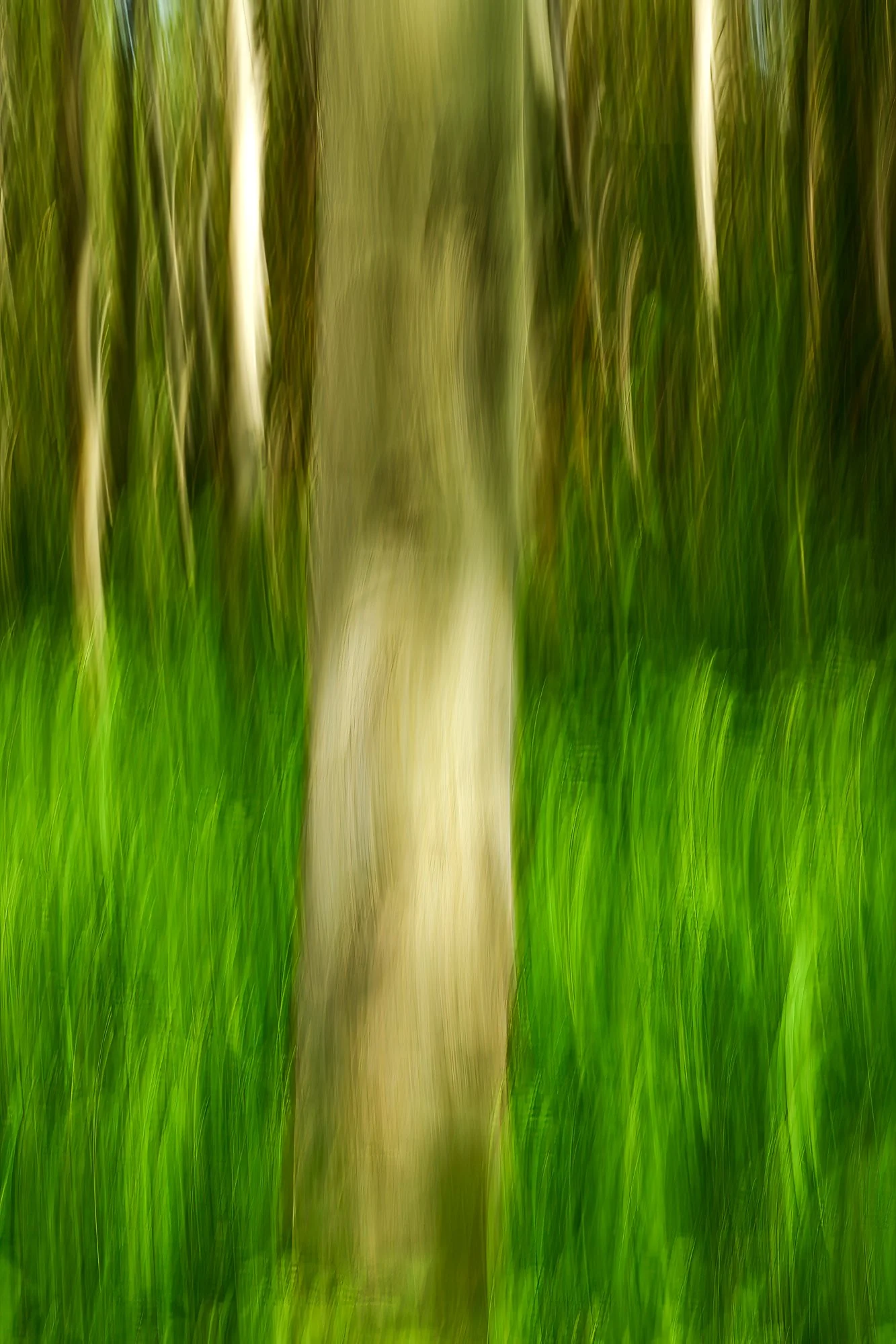DSC_7402-Edit-2.jpg