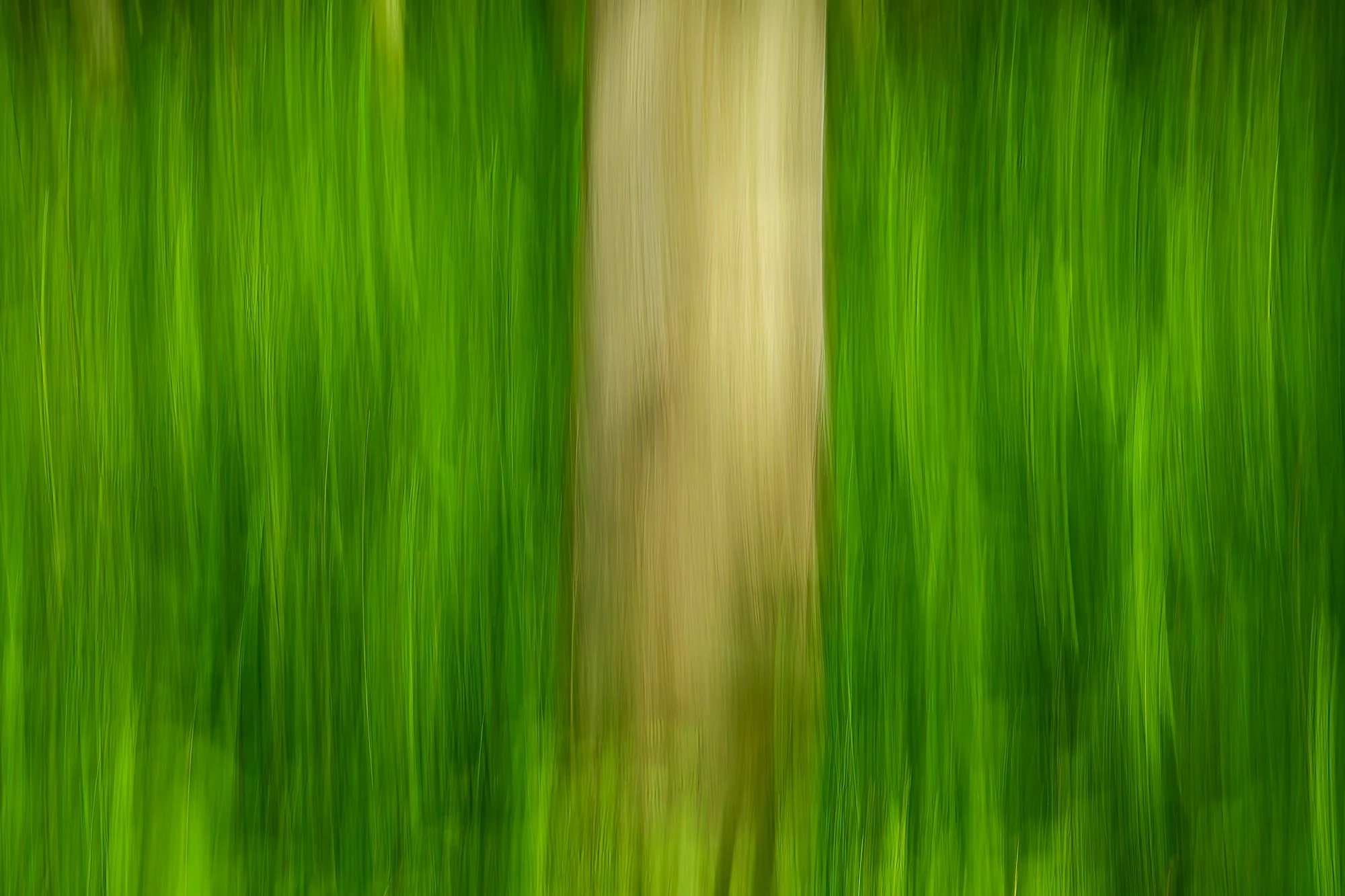 DSC_7418-Edit-2.jpg