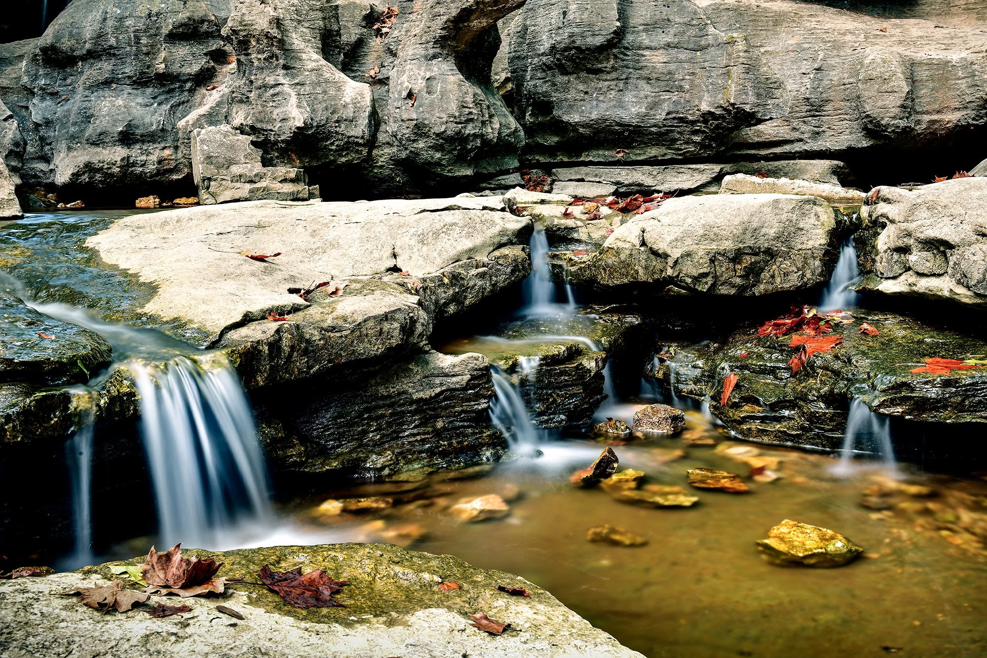 Landscapes