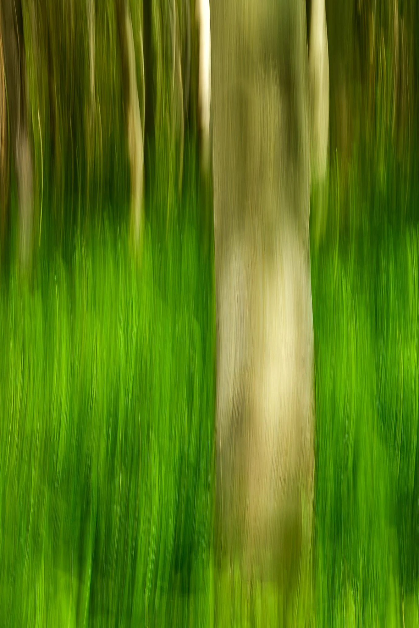 DSC_7381-Edit-2.jpg