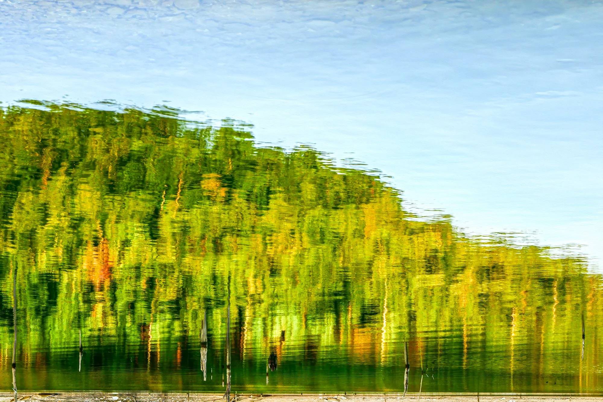 DSC_9814-Edit.jpg